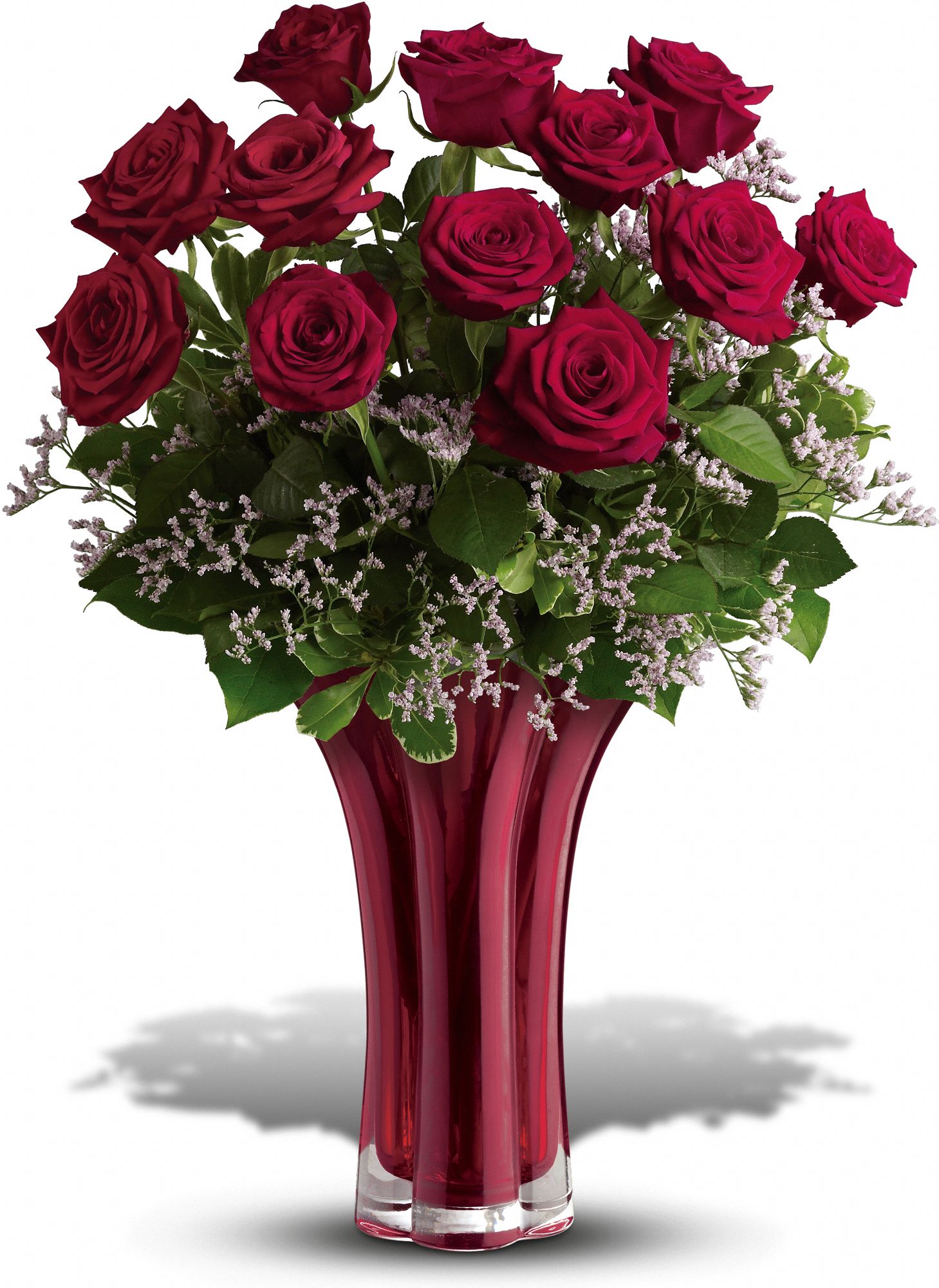 Teleflora's Ruby Nights Dozen in Galesburg IL Anderson Florists