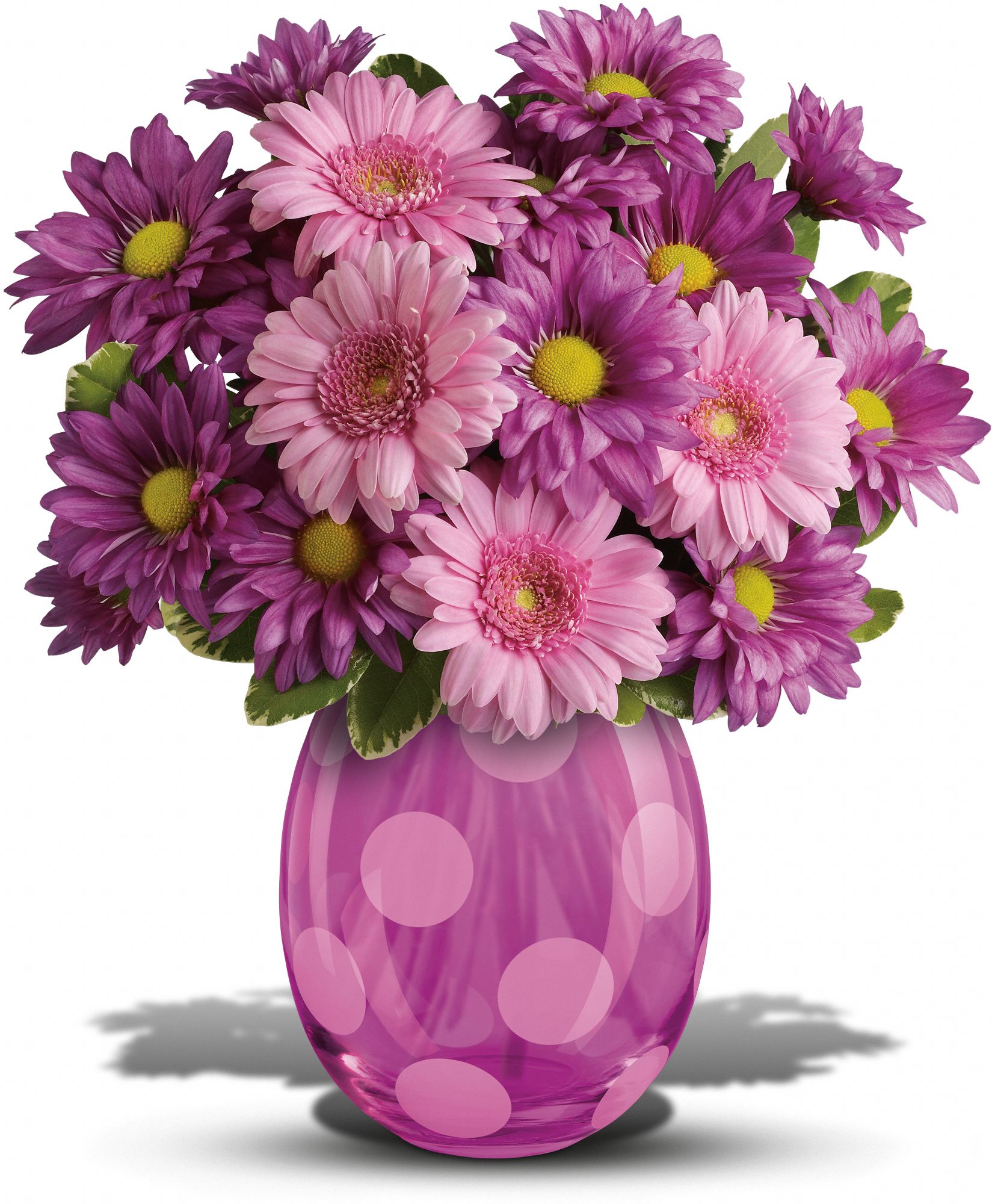 Teleflora's Lots of Dots Bouquet in Bellevue&nbsp;PA, Fred Dietz Floral