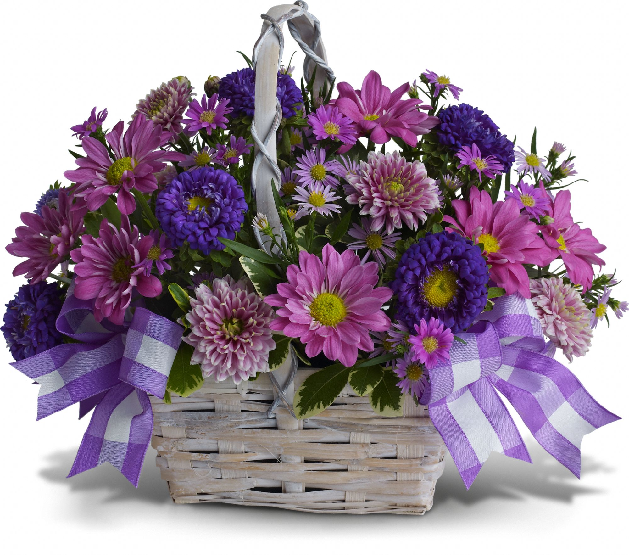 Daisy Day Dreams in Corpus Christi&nbsp;TX, Always In Bloom Florist Gifts