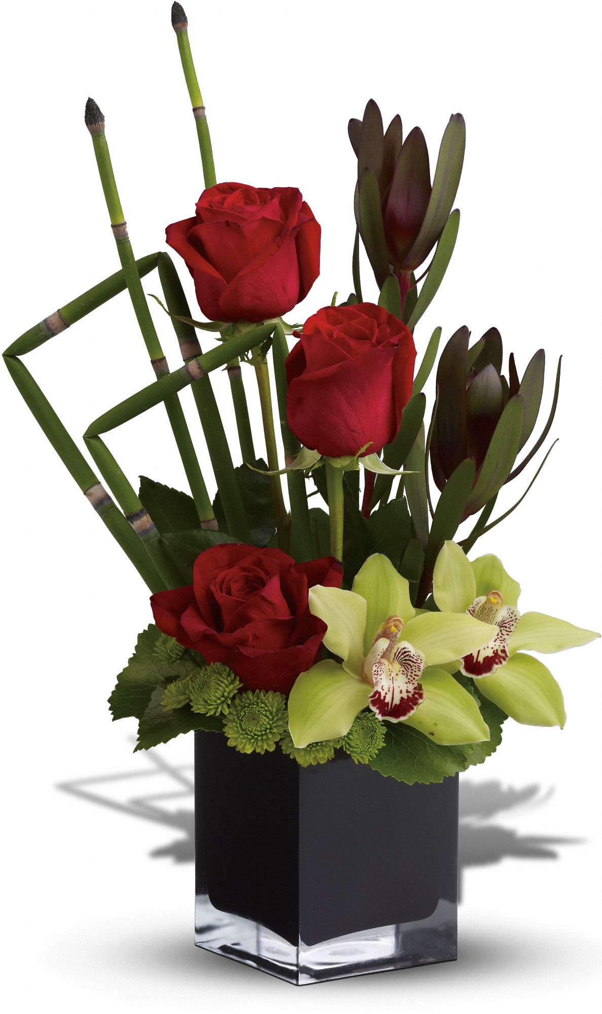 Teleflora's Rose Oasis Flowers