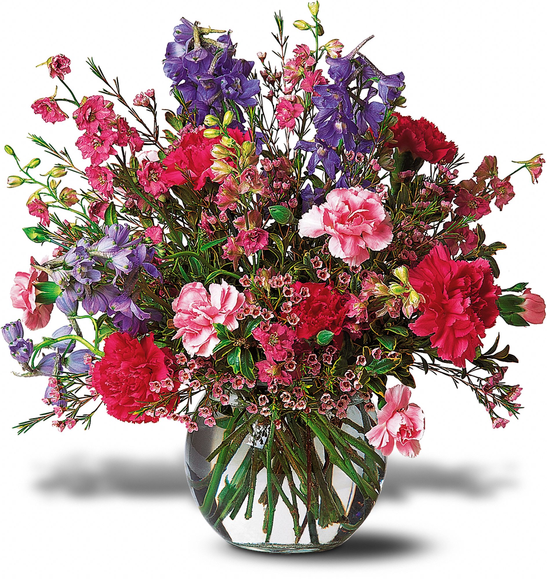 Burst of Joy in Denton TX Crickette's Flowers & Gifts