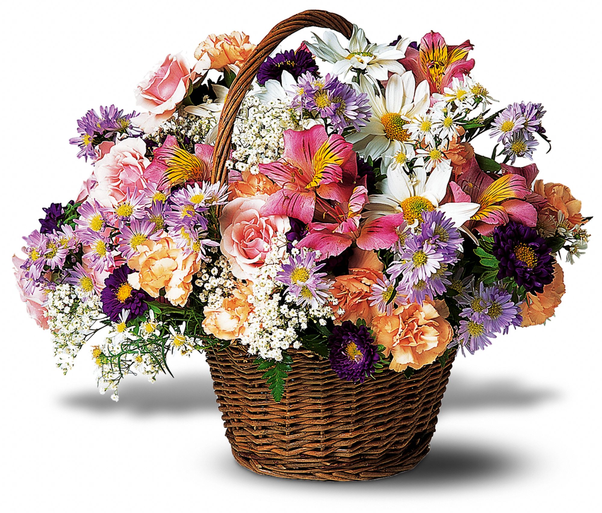 Country Days in Deer Park TX Deer Park Florist