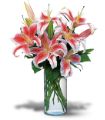 Lovely Lilies in Parma OH Ed Pawlak & Son Florists