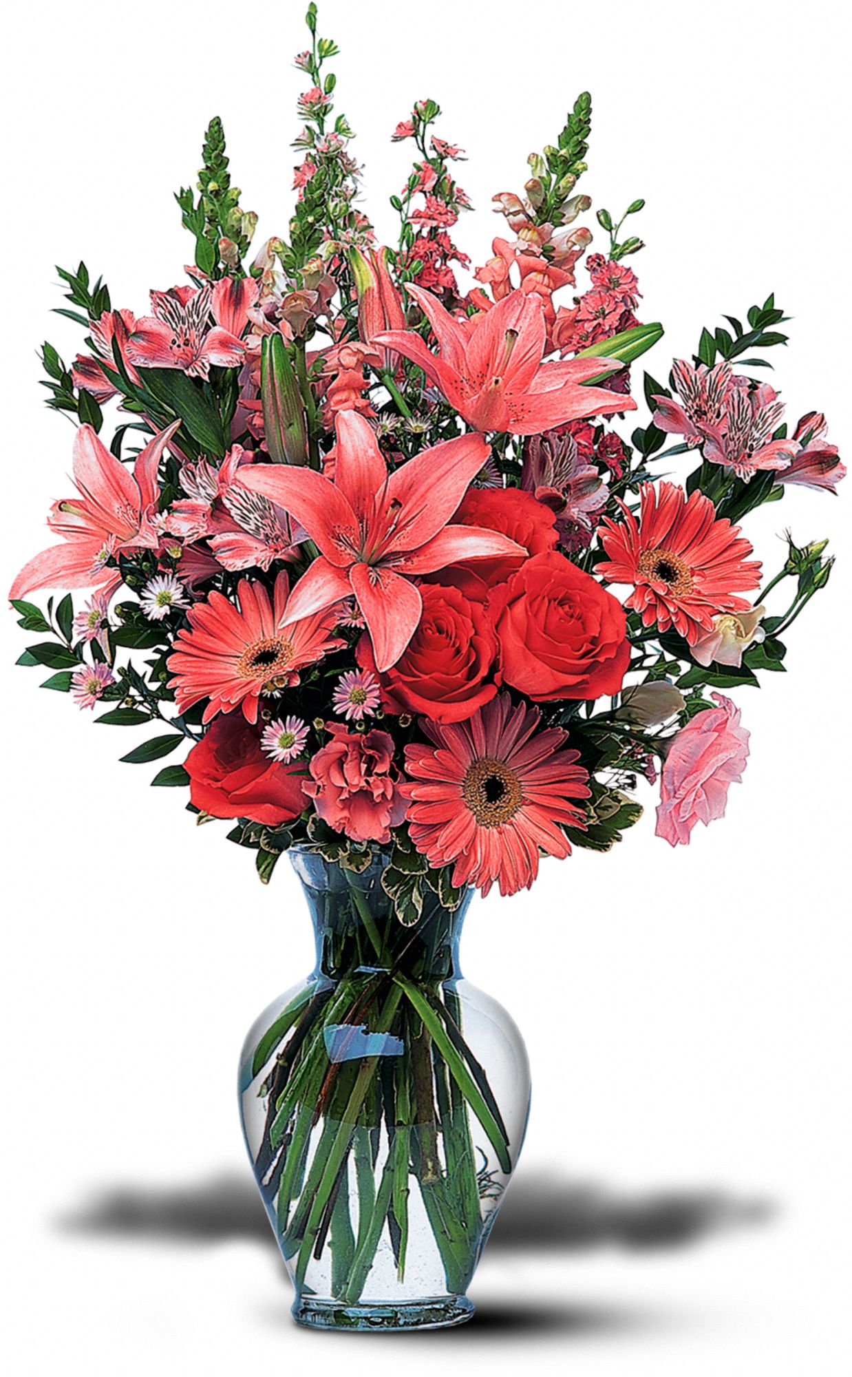 Marvelous Pinks