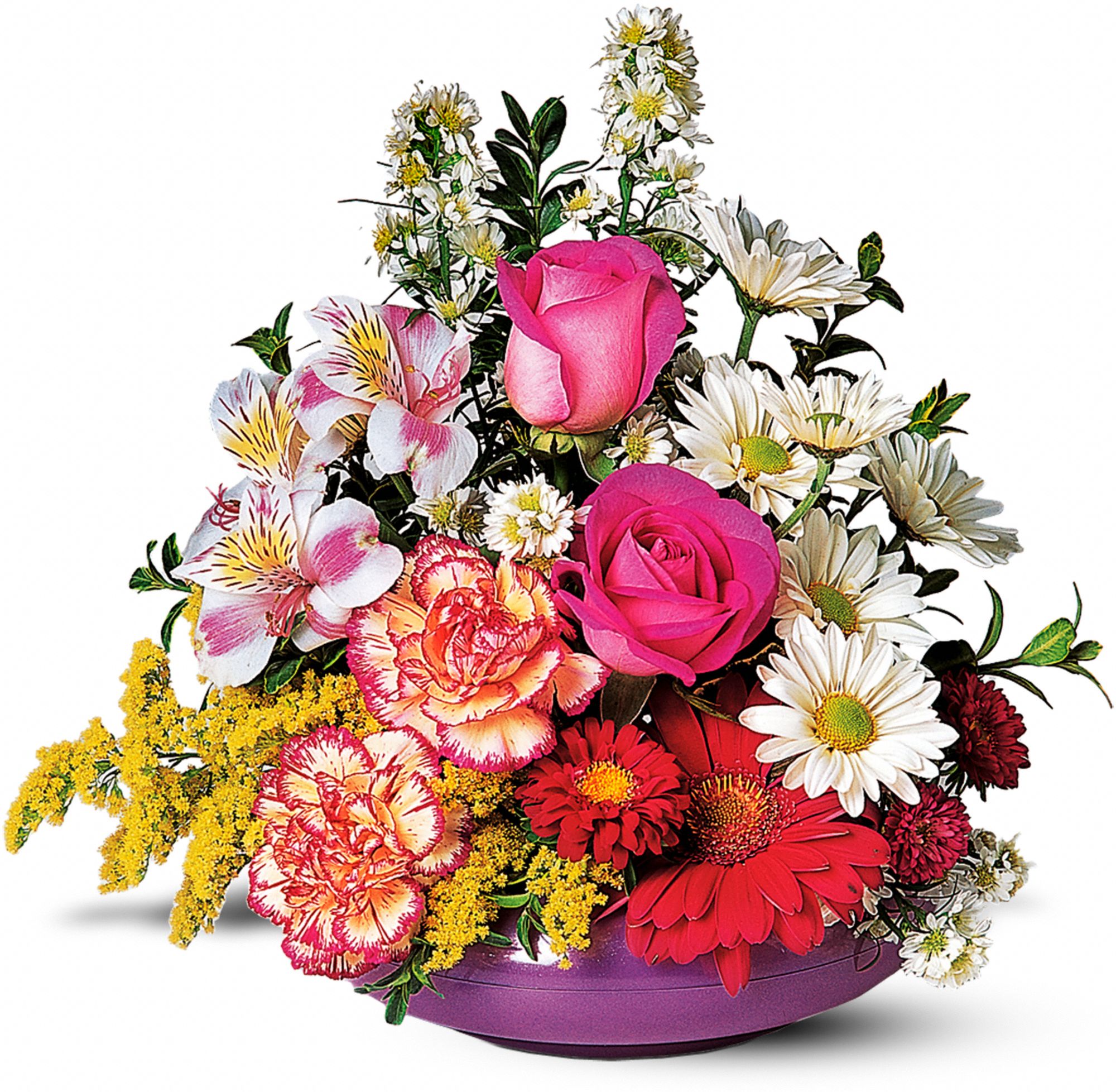 Sunny Days in New Port Richey&nbsp;FL, Cottage Florist Of Trinity