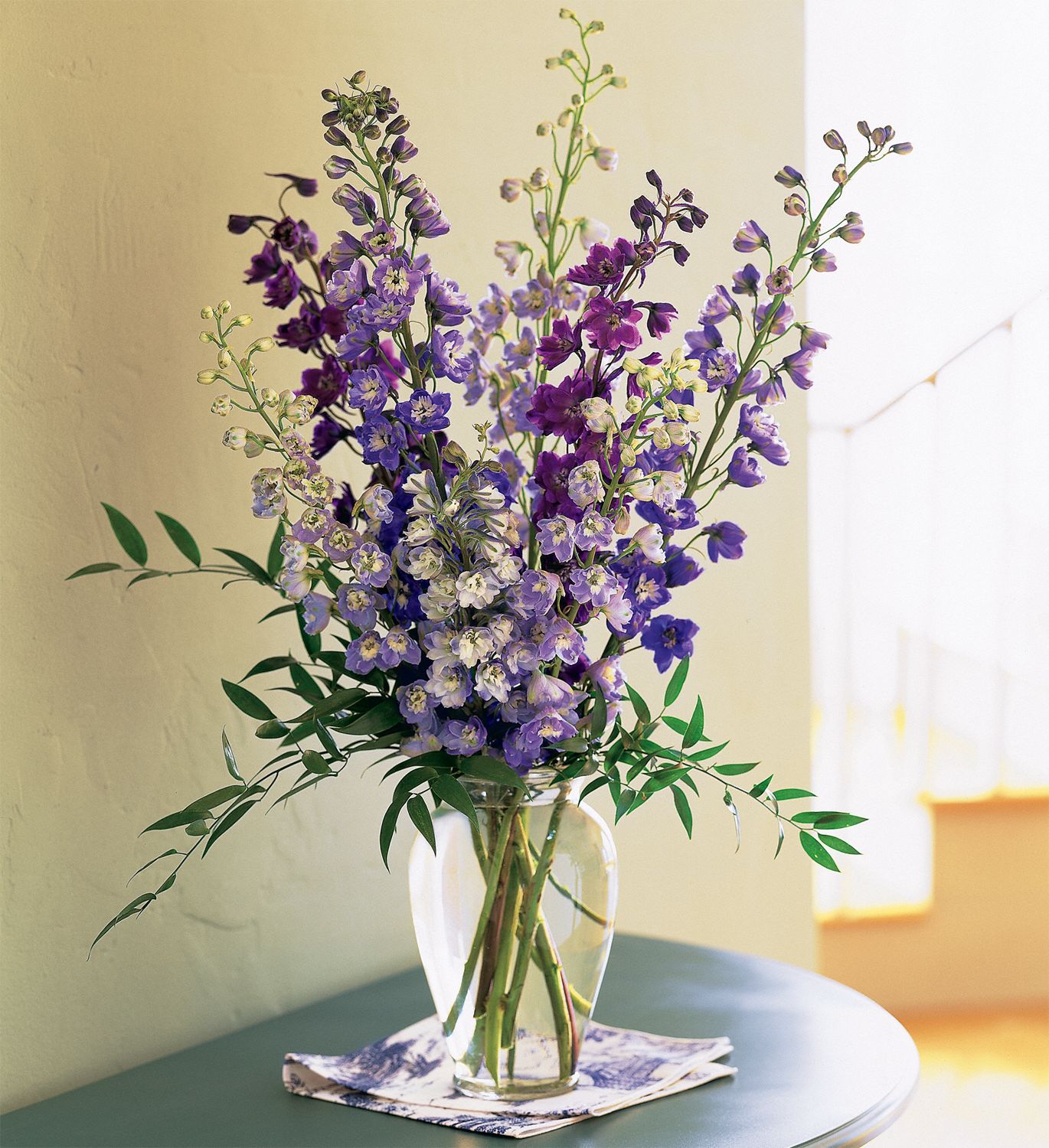 Delphinium Dreams