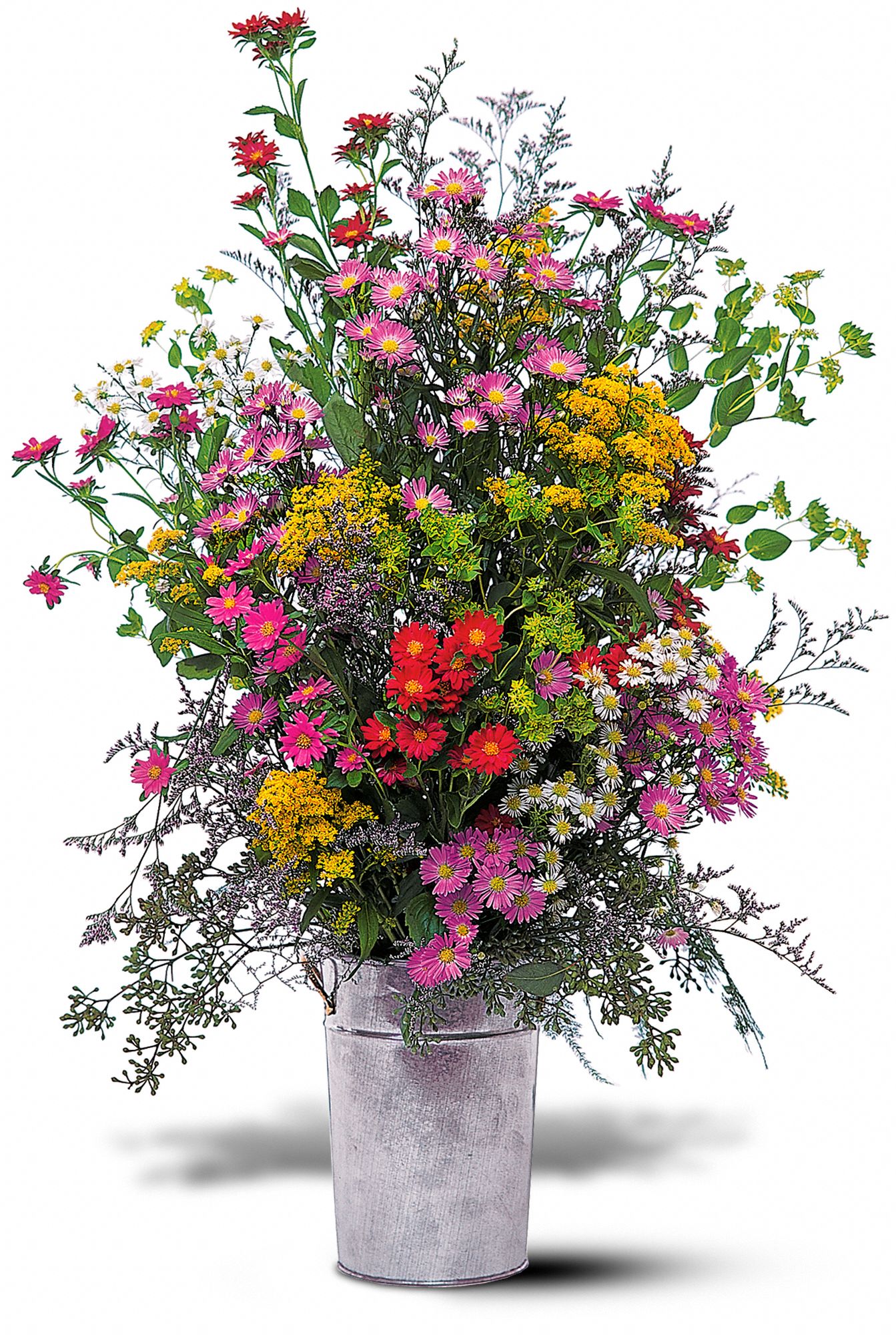 French Garden graphic
