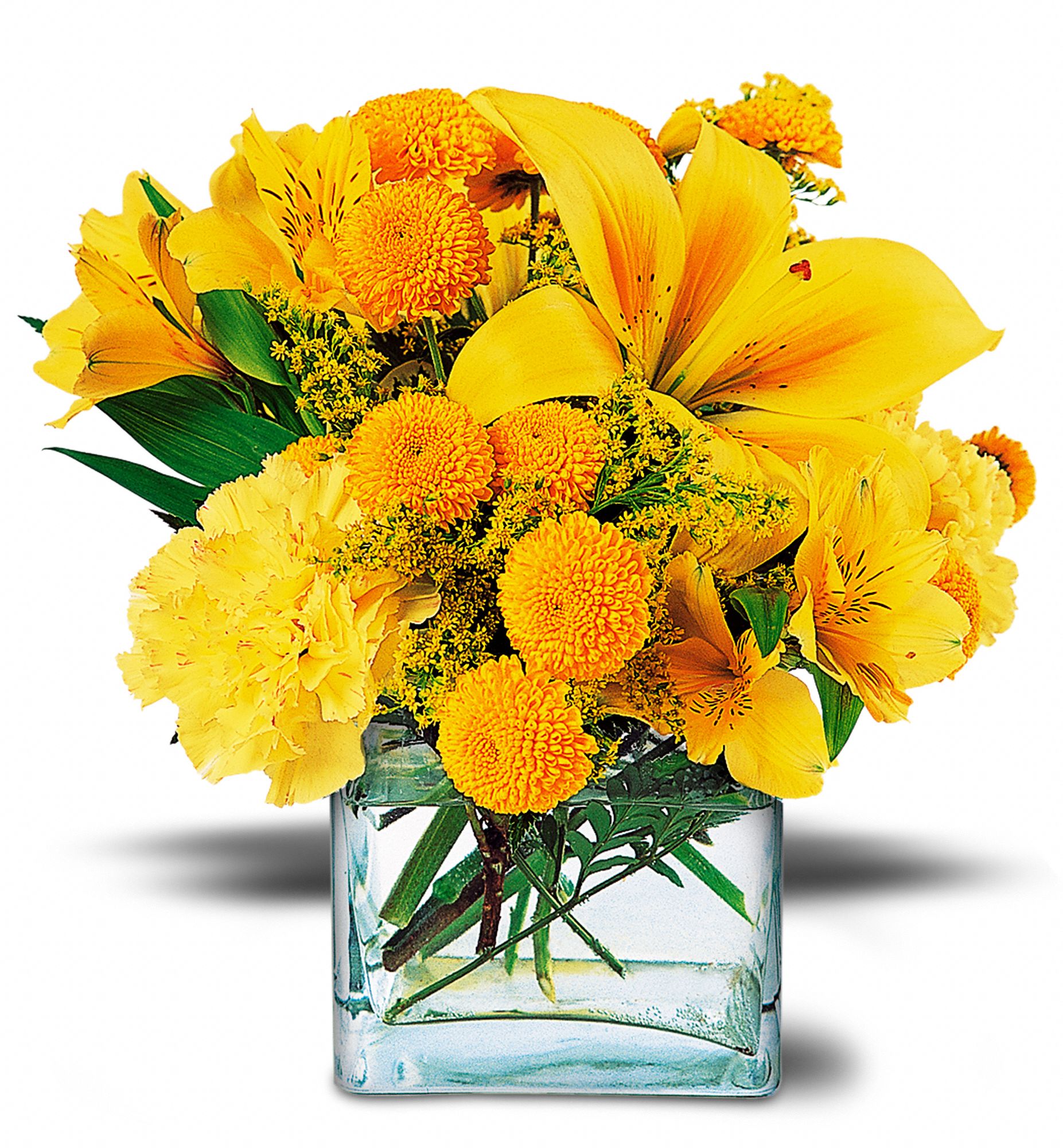Sunshine Thoughts in Tallahassee&nbsp;FL, Elinor Doyle Florist