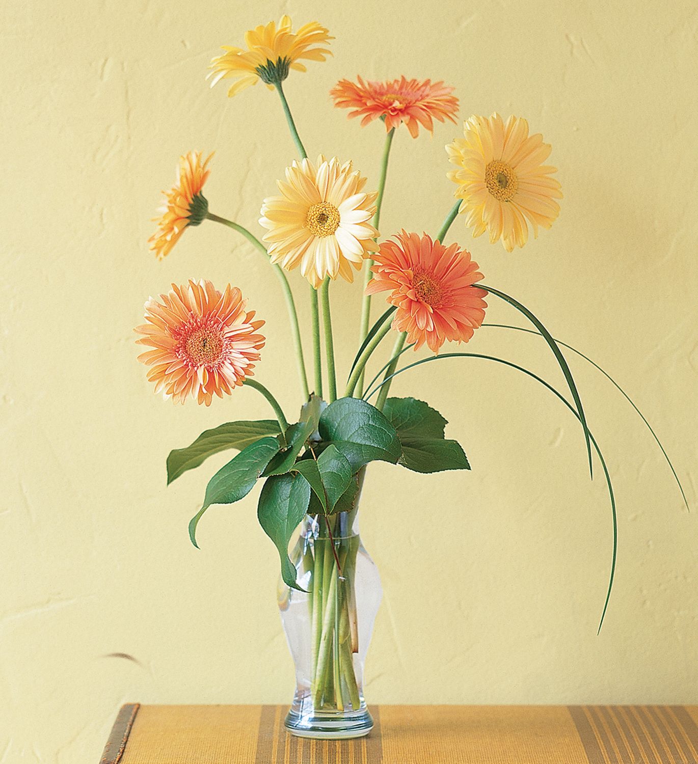 Grand Gerberas Flowers