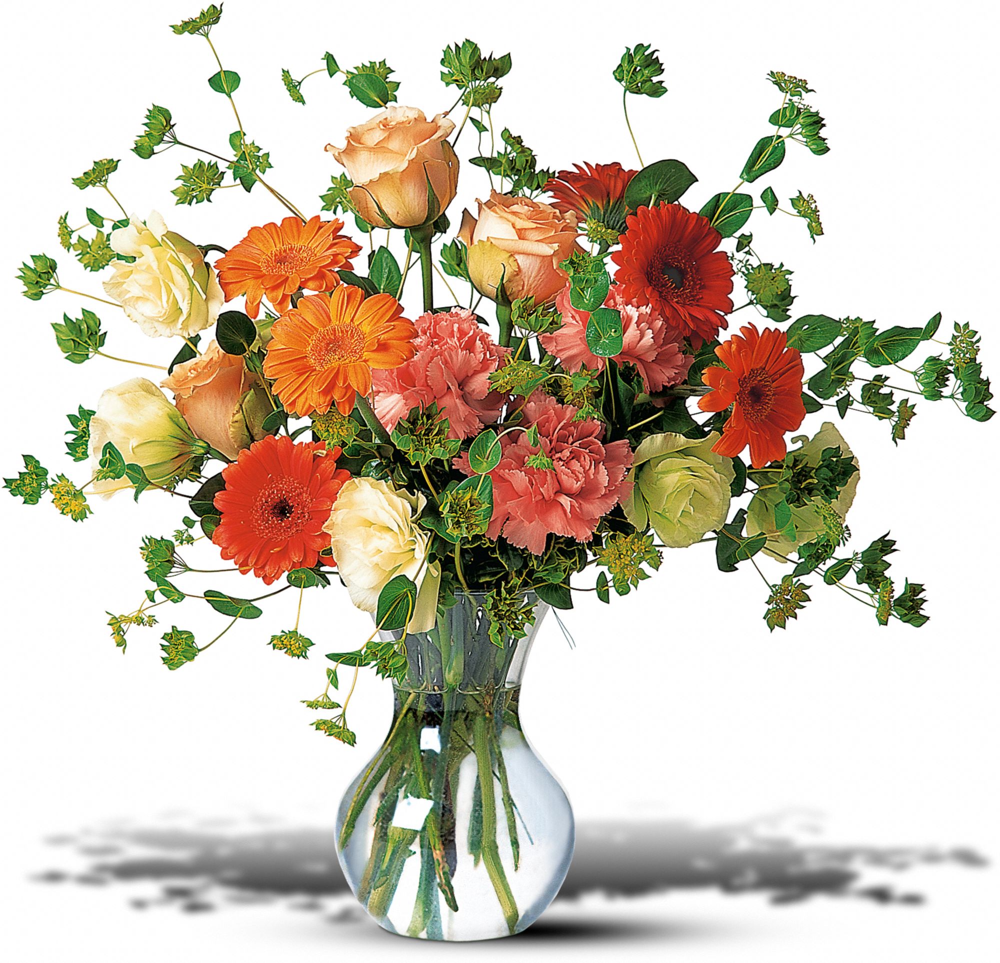 Blossoming Orange in Portland&nbsp;OR, Laurelhurst Florist