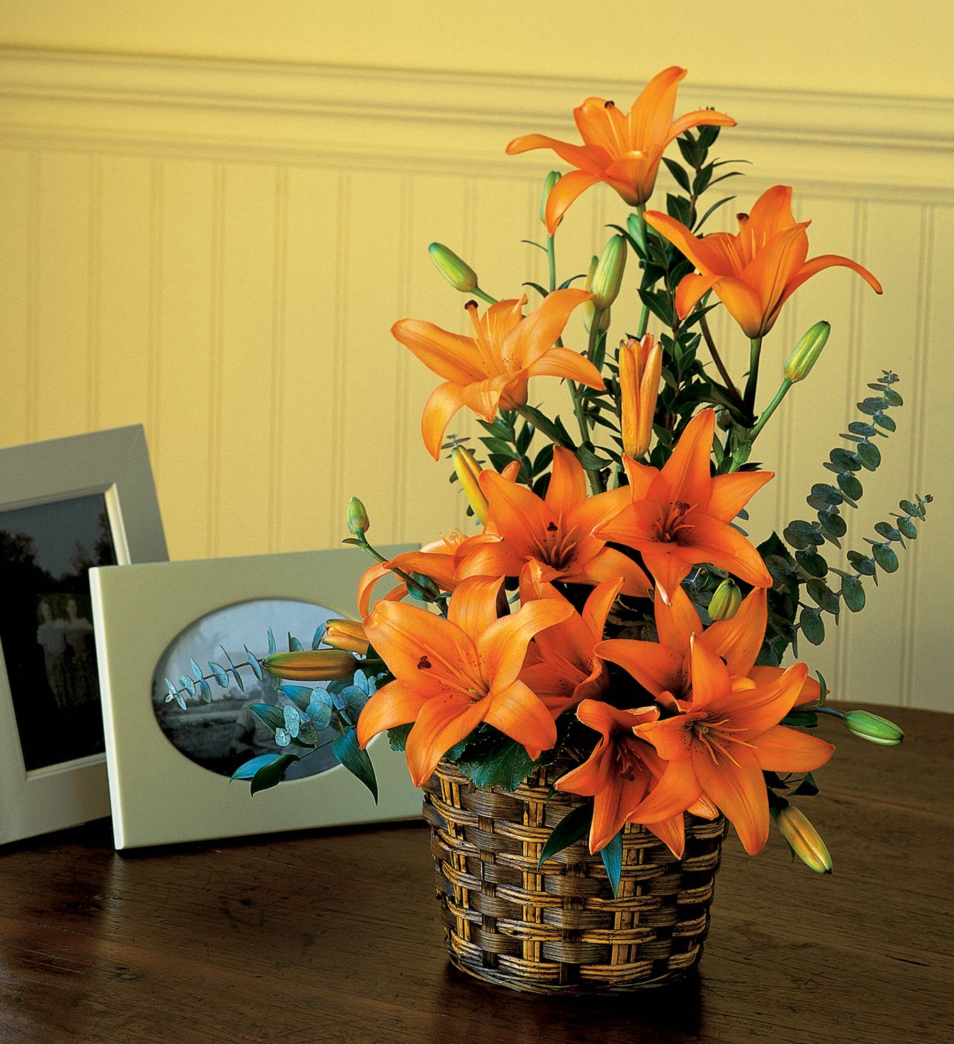 Asiatic Lilies Flowers