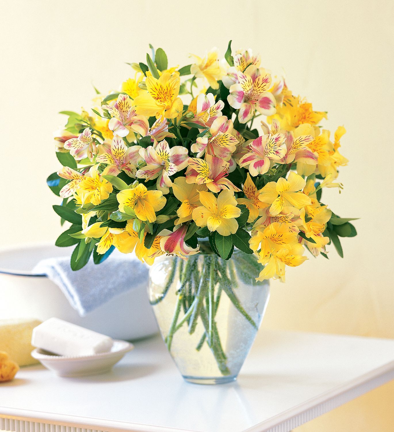 Sparkling Alstroemeria Flowers