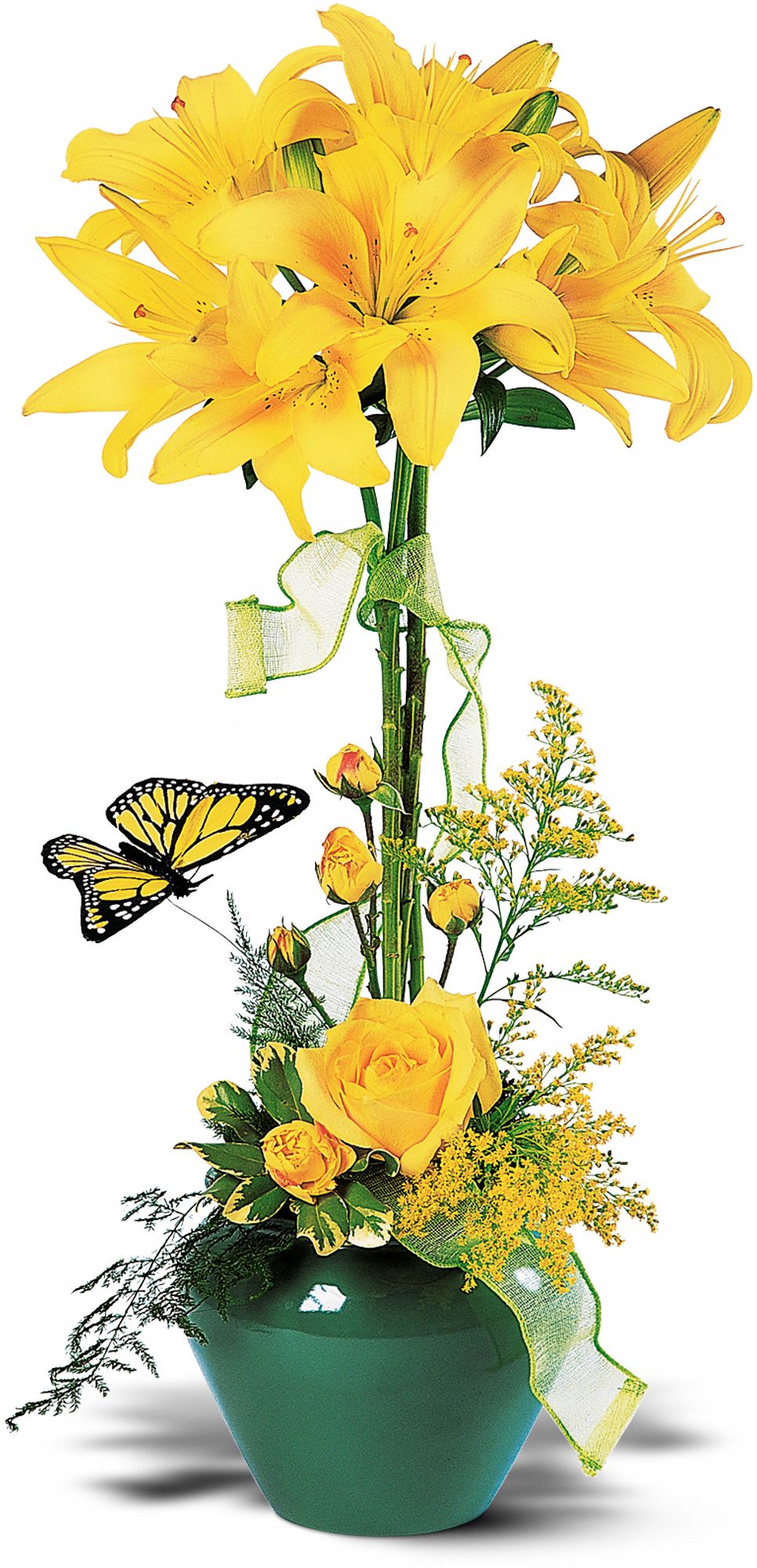 Lily Topiary, picture