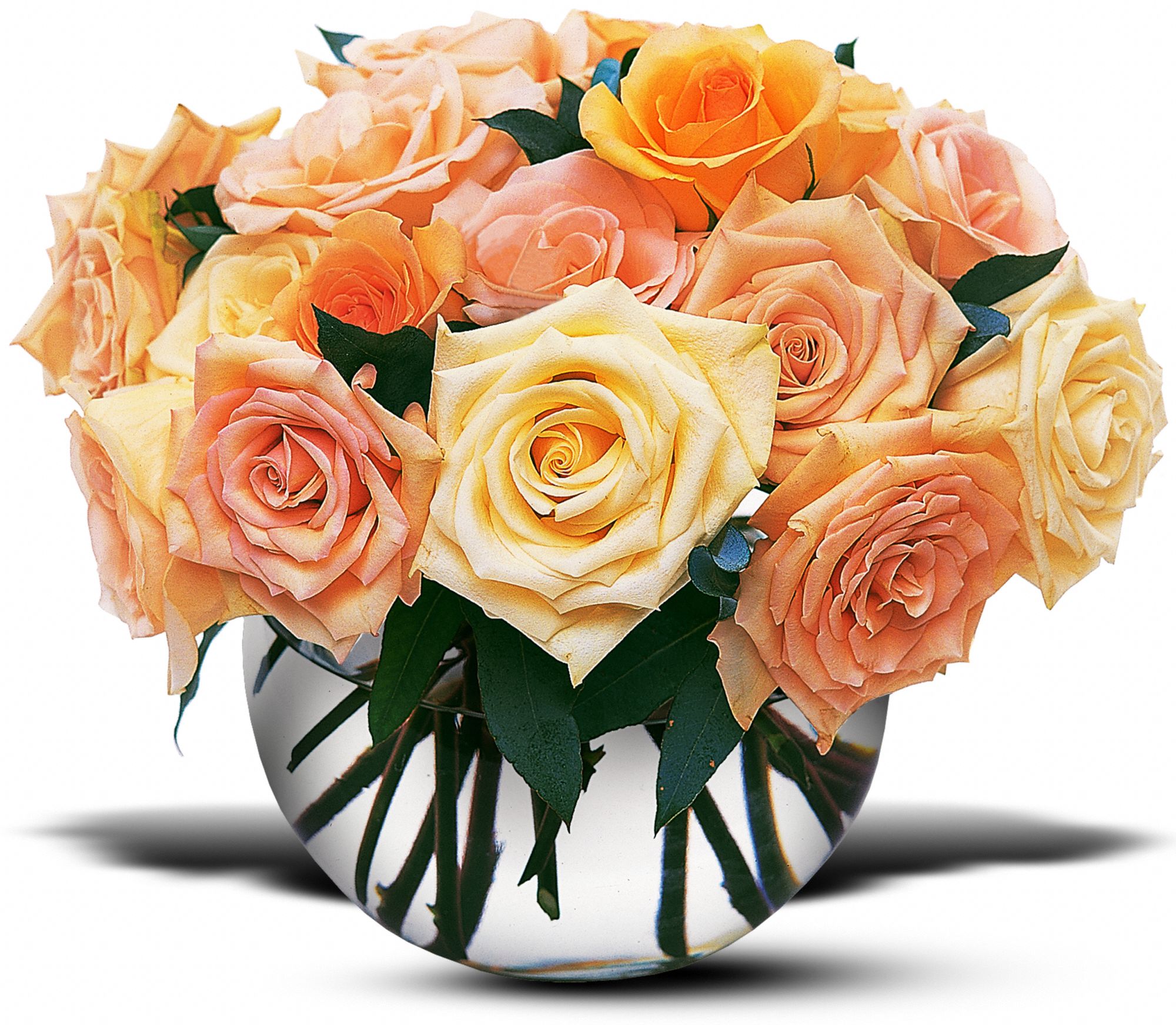 Perfect Pastel Roses graphic