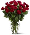 Two Dozen Red Roses in Parma OH Ed Pawlak & Son Florists