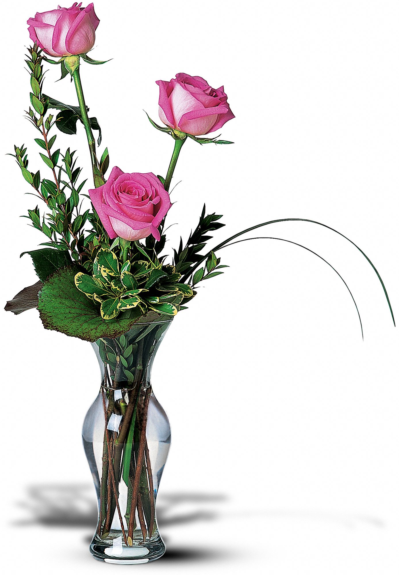 Tender Trio in New Port Richey&nbsp;FL, Cottage Florist Of Trinity