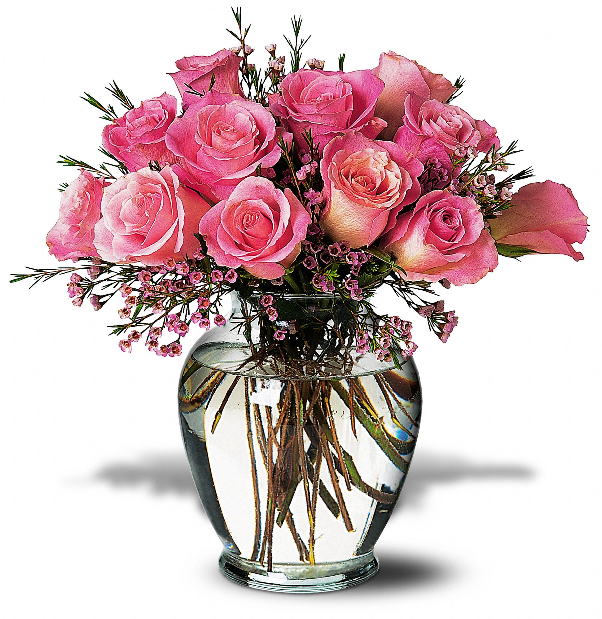 A Pretty Pink Dozen graphic