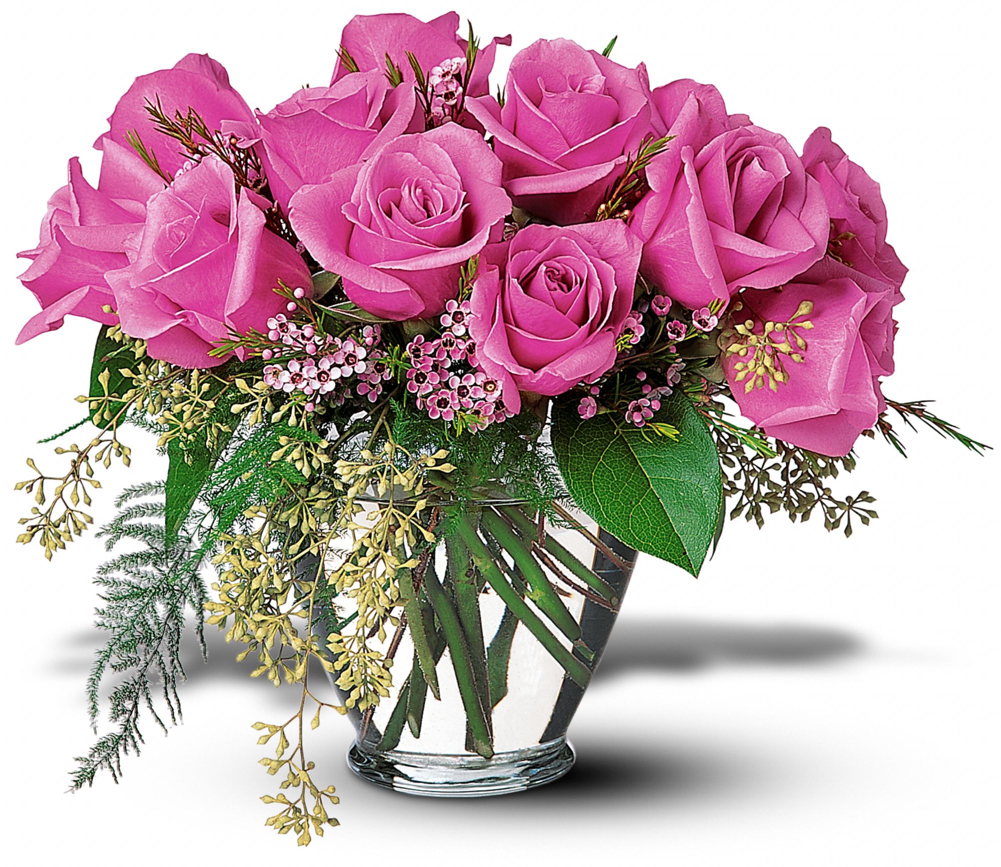 A Lavender Dozen graphic