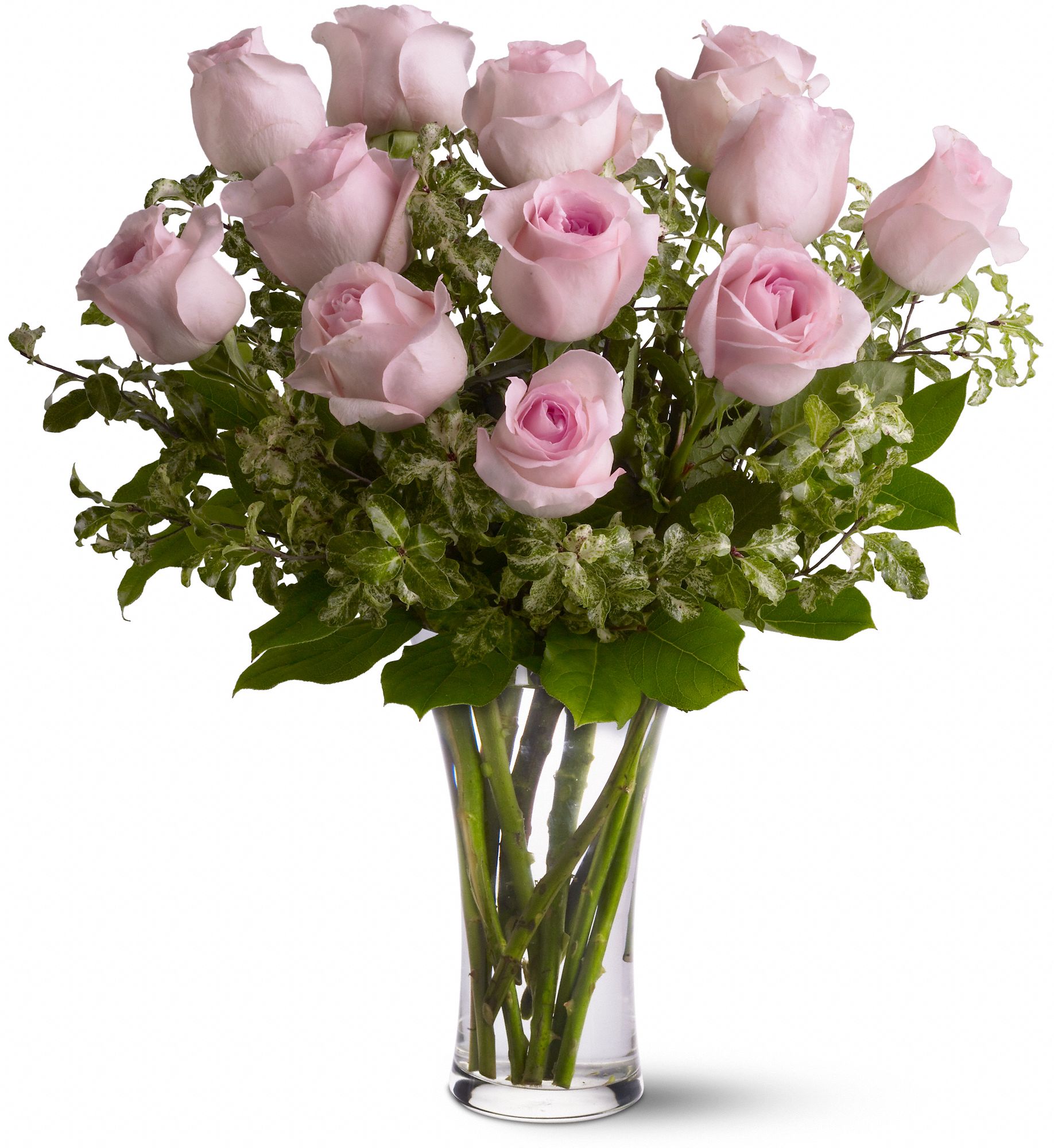 A Dozen Pink Roses, picture