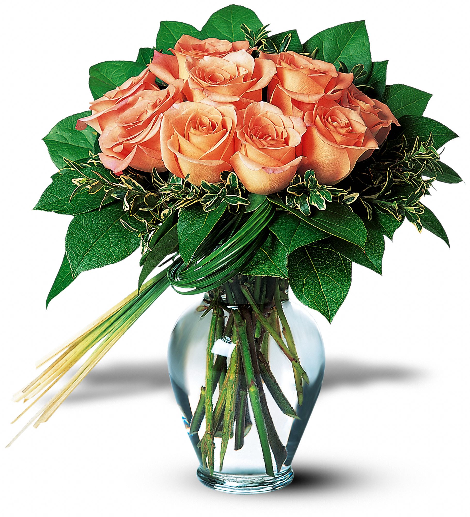 Perfectly Peachy Roses graphic