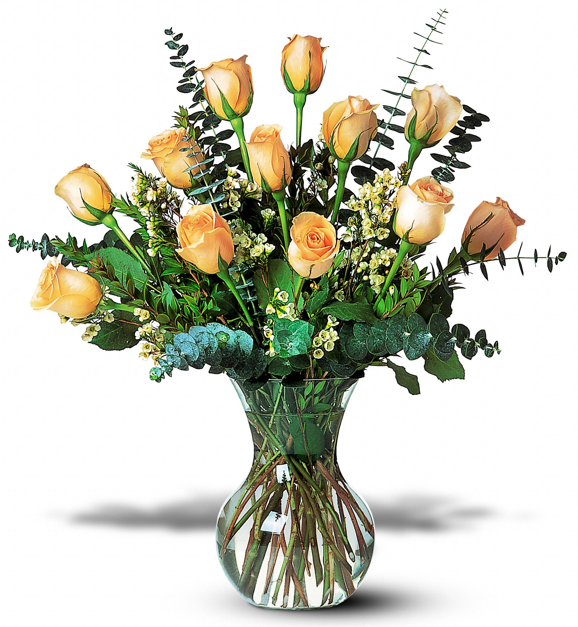 A Dozen Pale Peach Roses graphic