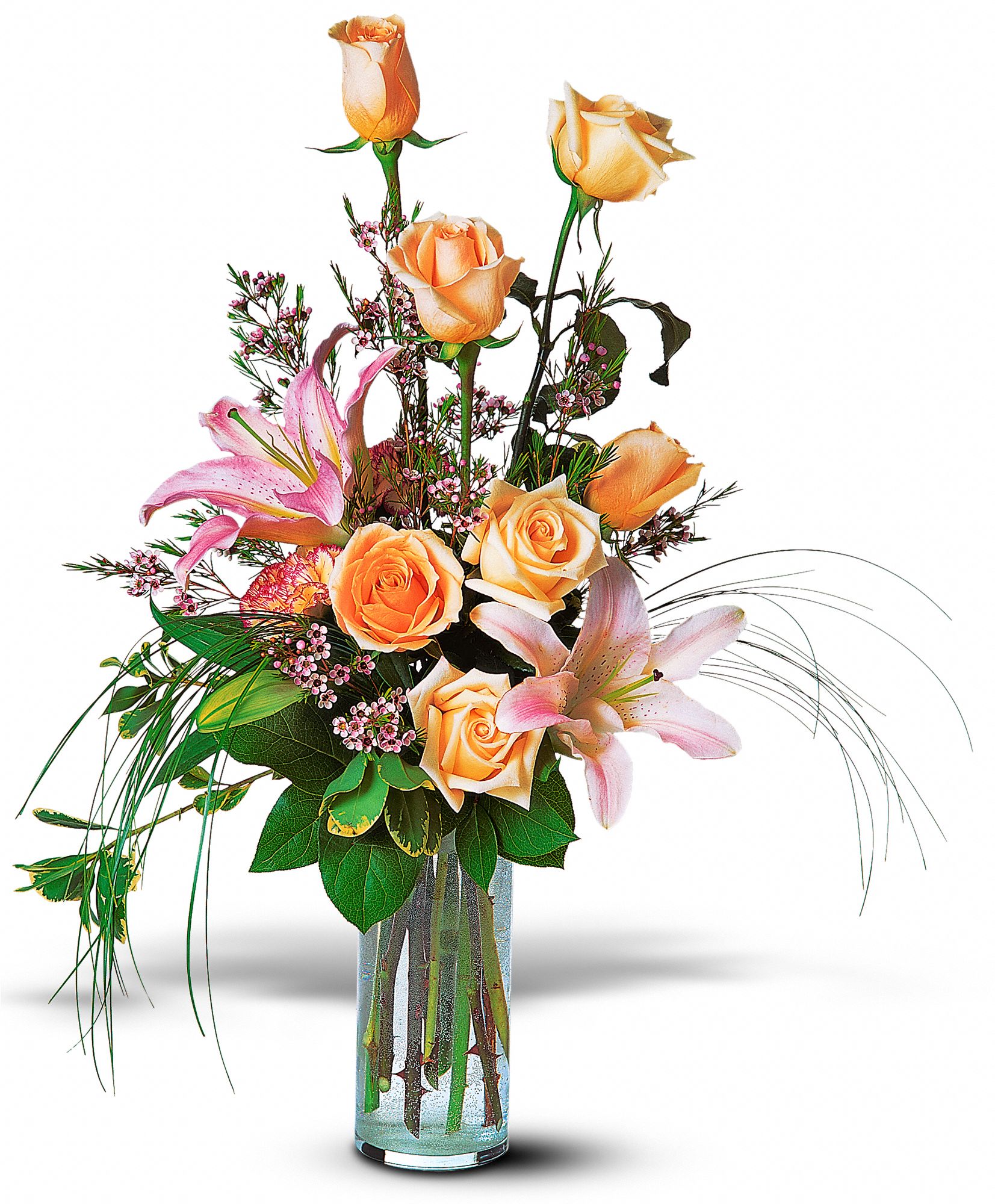 Rose and Lily Splendor graphic