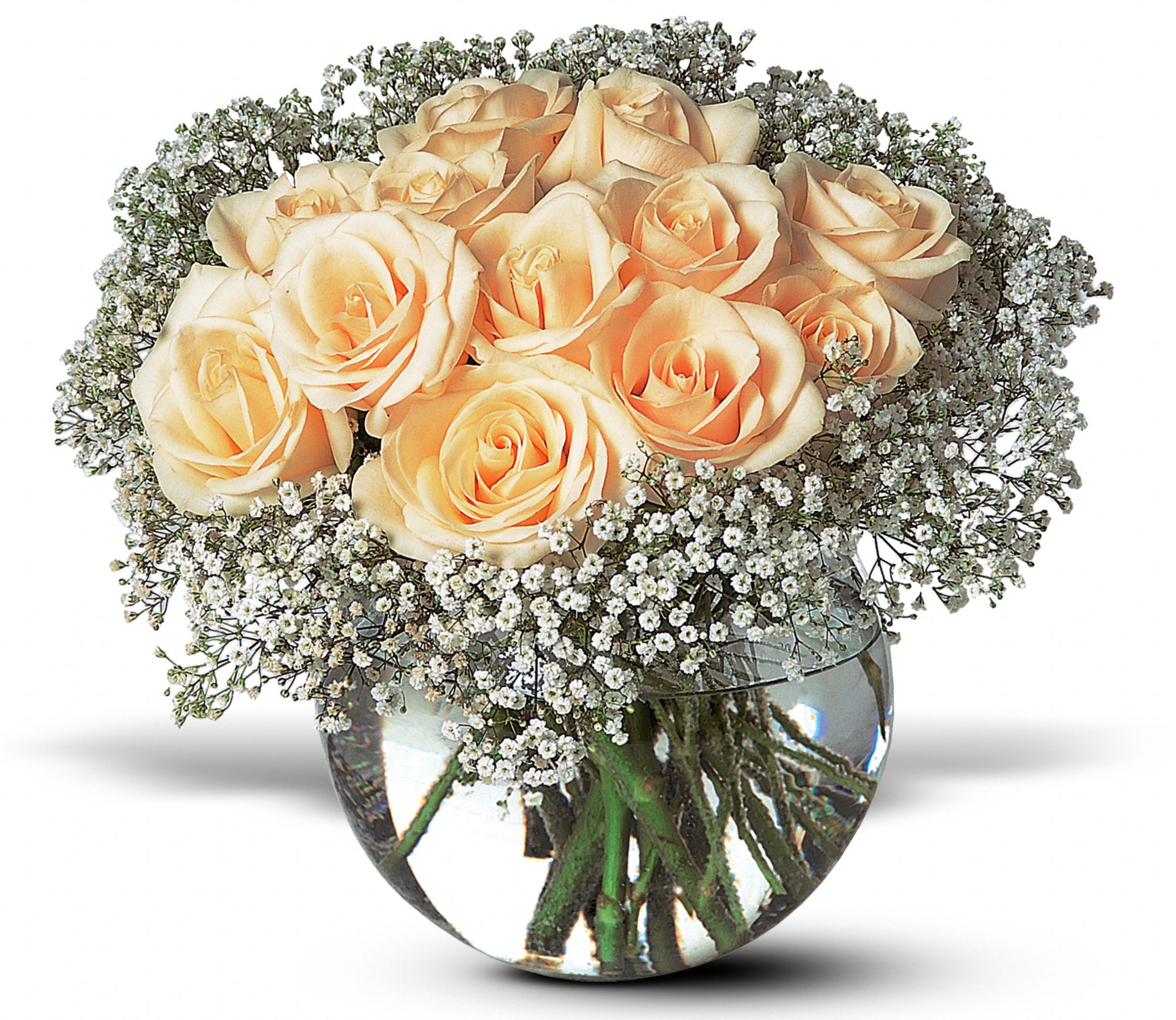 A Dozen White Roses Flowers