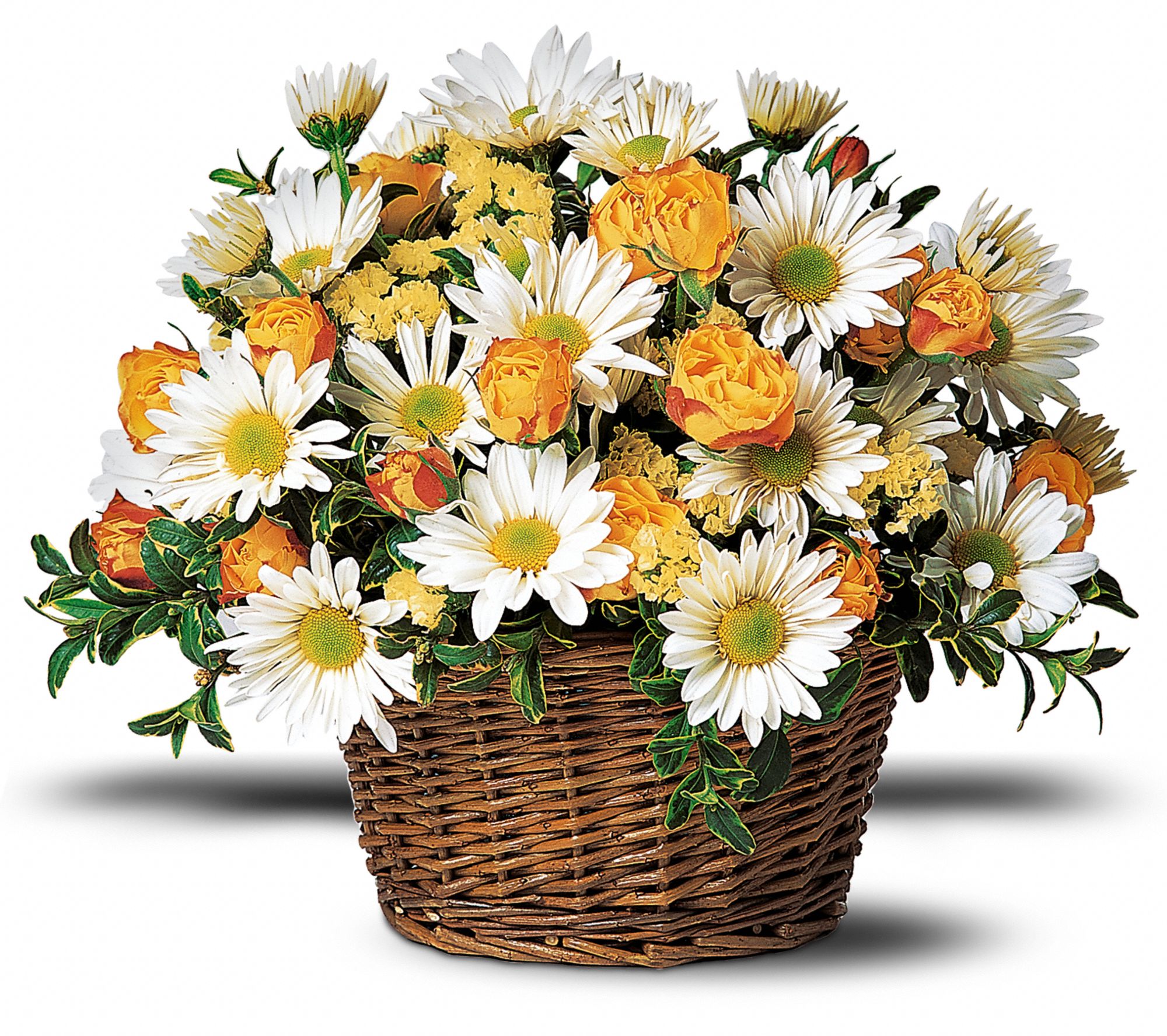 Joyful Roses and Daisies graphic