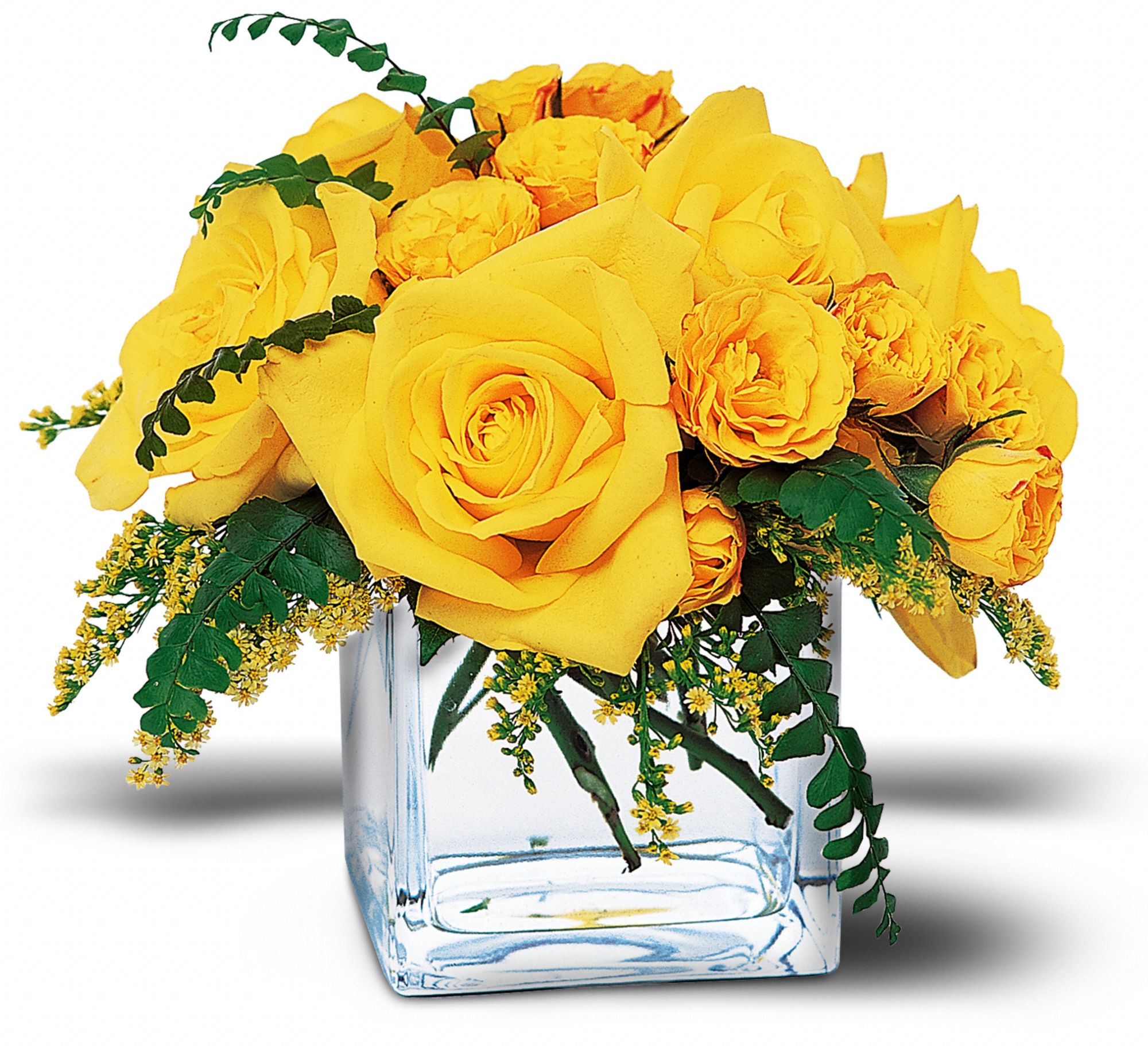 Yellow Rose Bravo! graphic