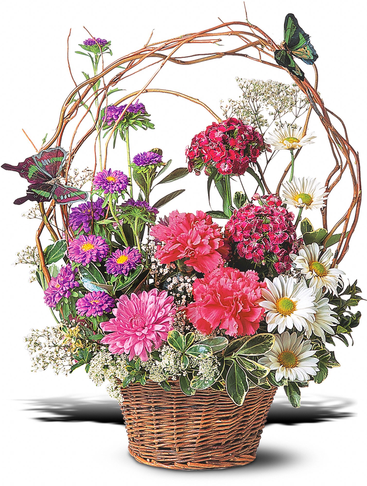 Birthday Butterflies graphic