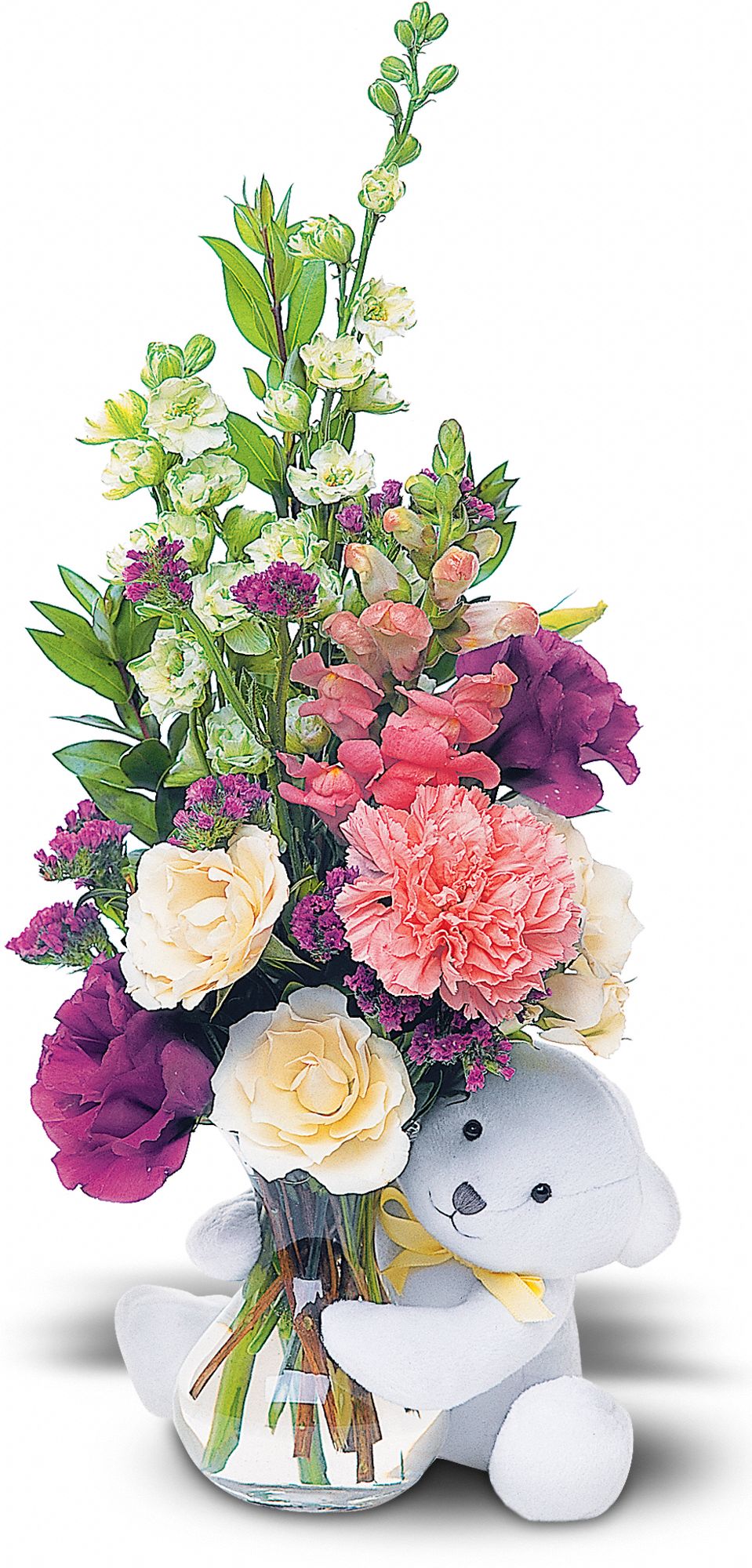 Bear Hug Bear with White Roses graphic