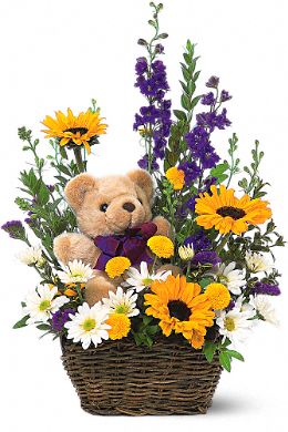 Basket & Bear Arrangement