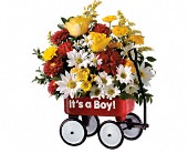 Grigg's Flowers, Carlsbad, New Mexico - Teleflora's Baby's First Wagon, picture