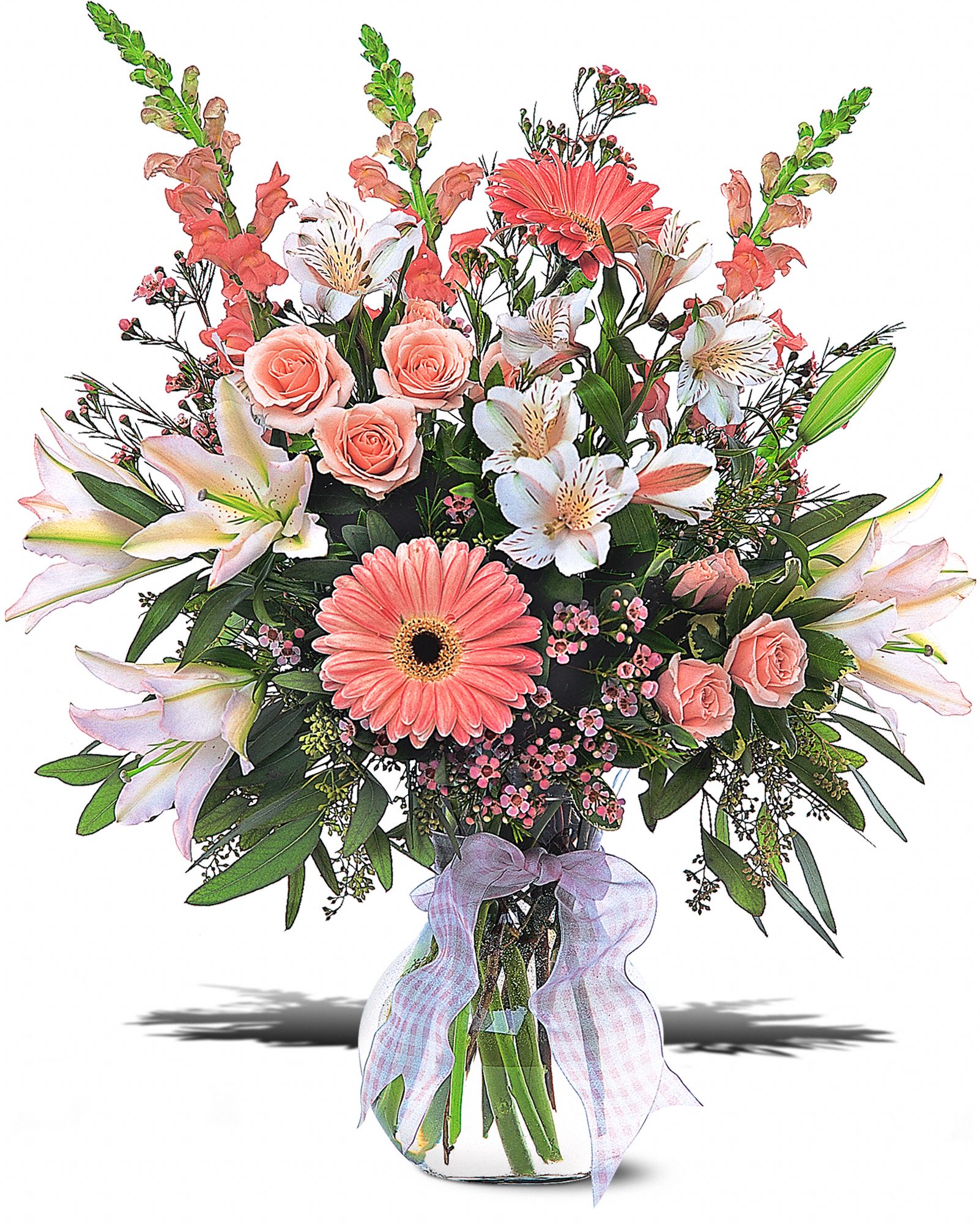 Celebrating Baby Girl graphic