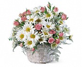 Grigg's Flowers, Carlsbad, New Mexico - Posy Basket, picture