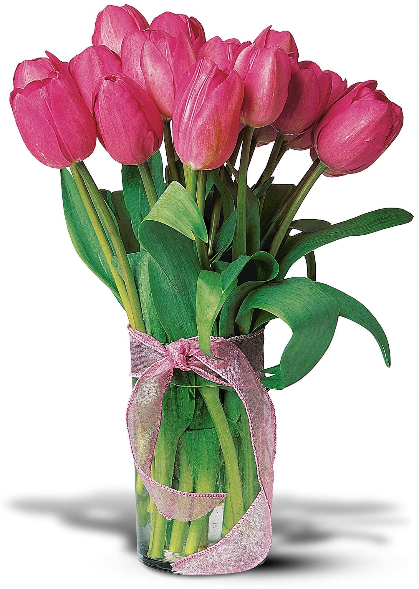 Pink Tulips, picture