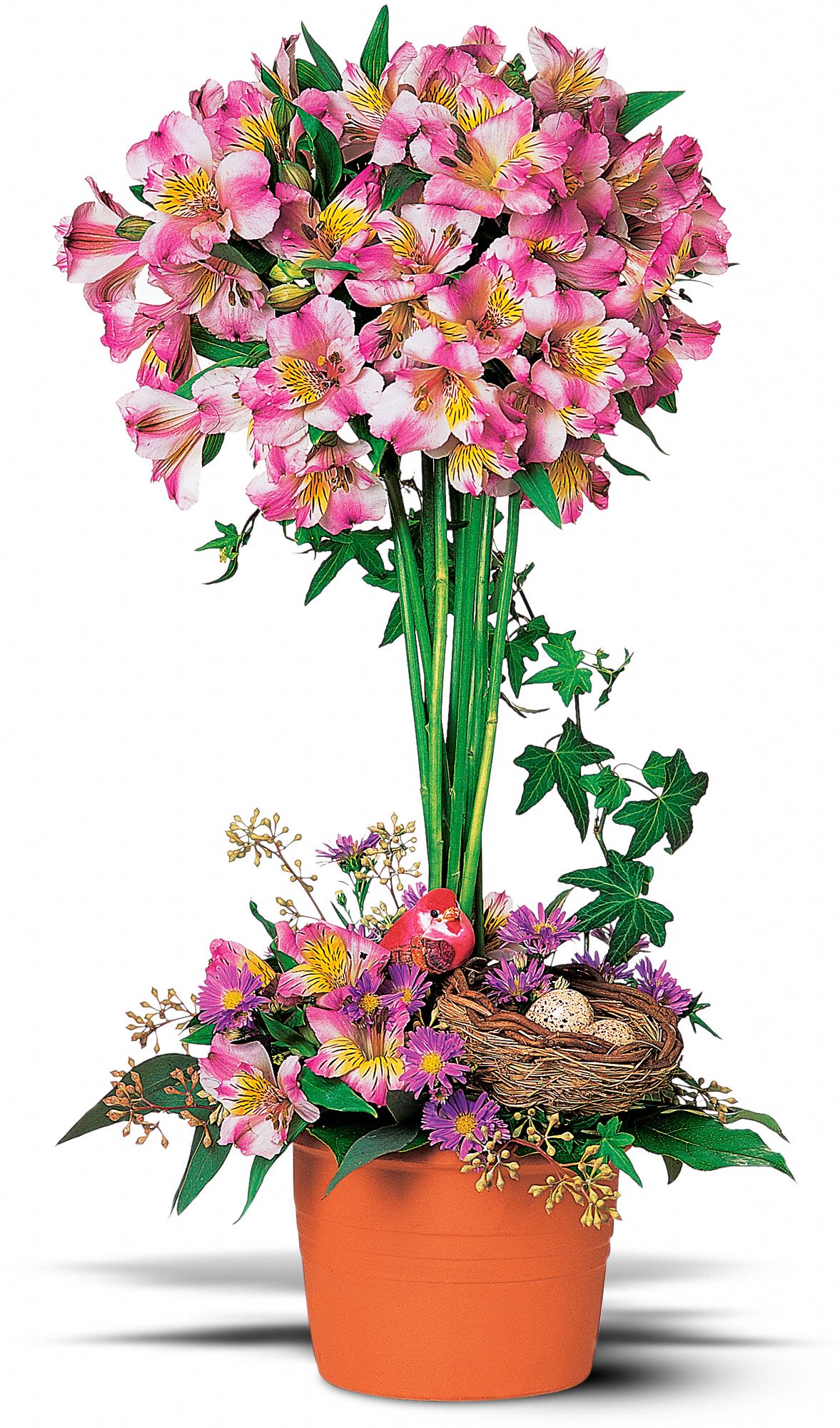 Alstroemeria Topiary in New Port Richey&nbsp;FL, Cottage Florist Of Trinity