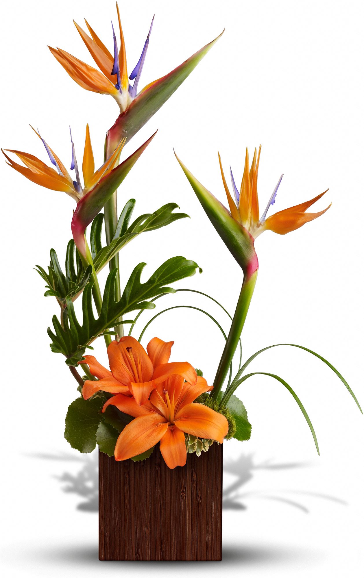 Teleflora's Bamboo Paradise Flowers