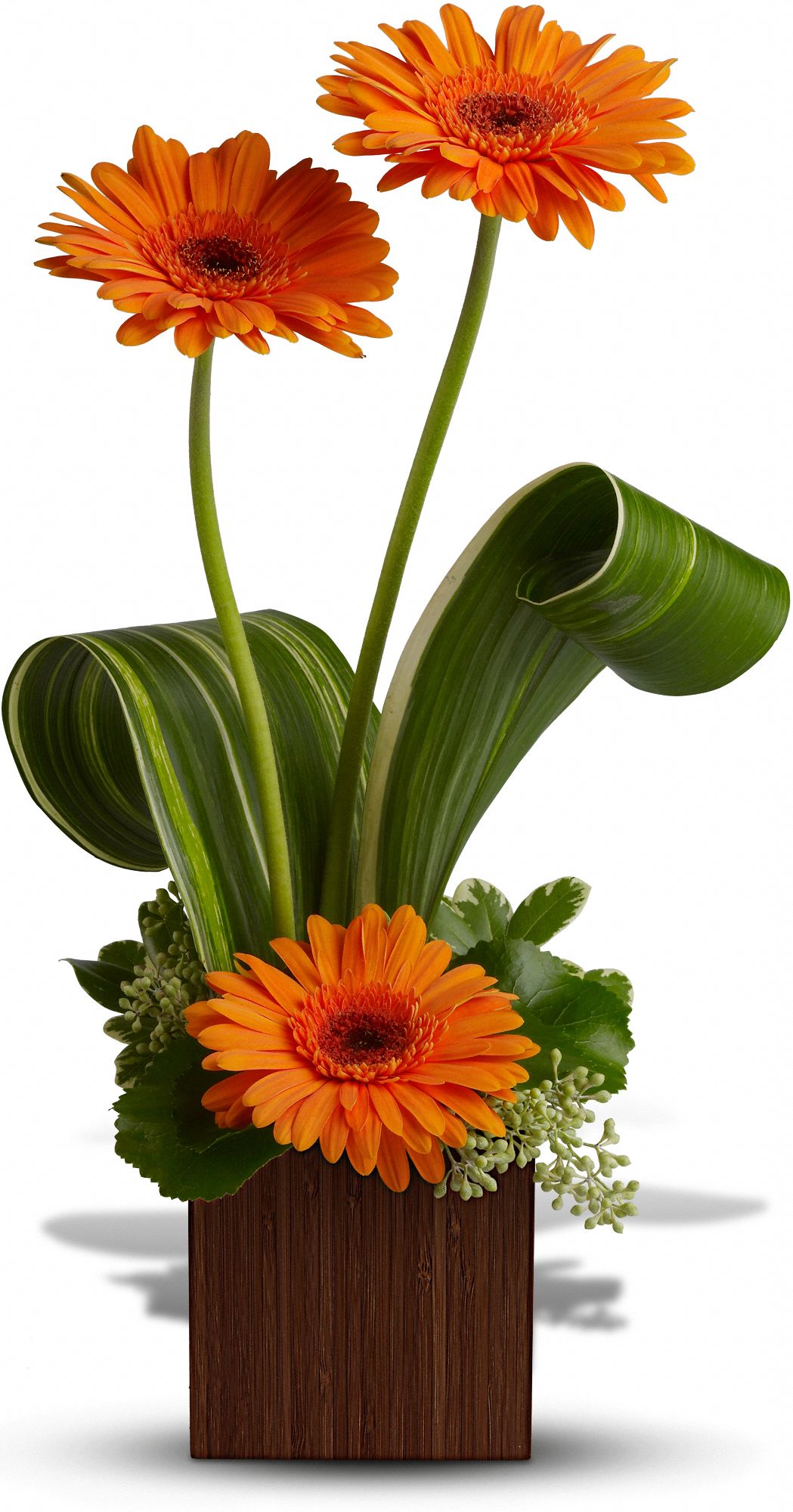 Teleflora's Bamboo Sunshine Flowers