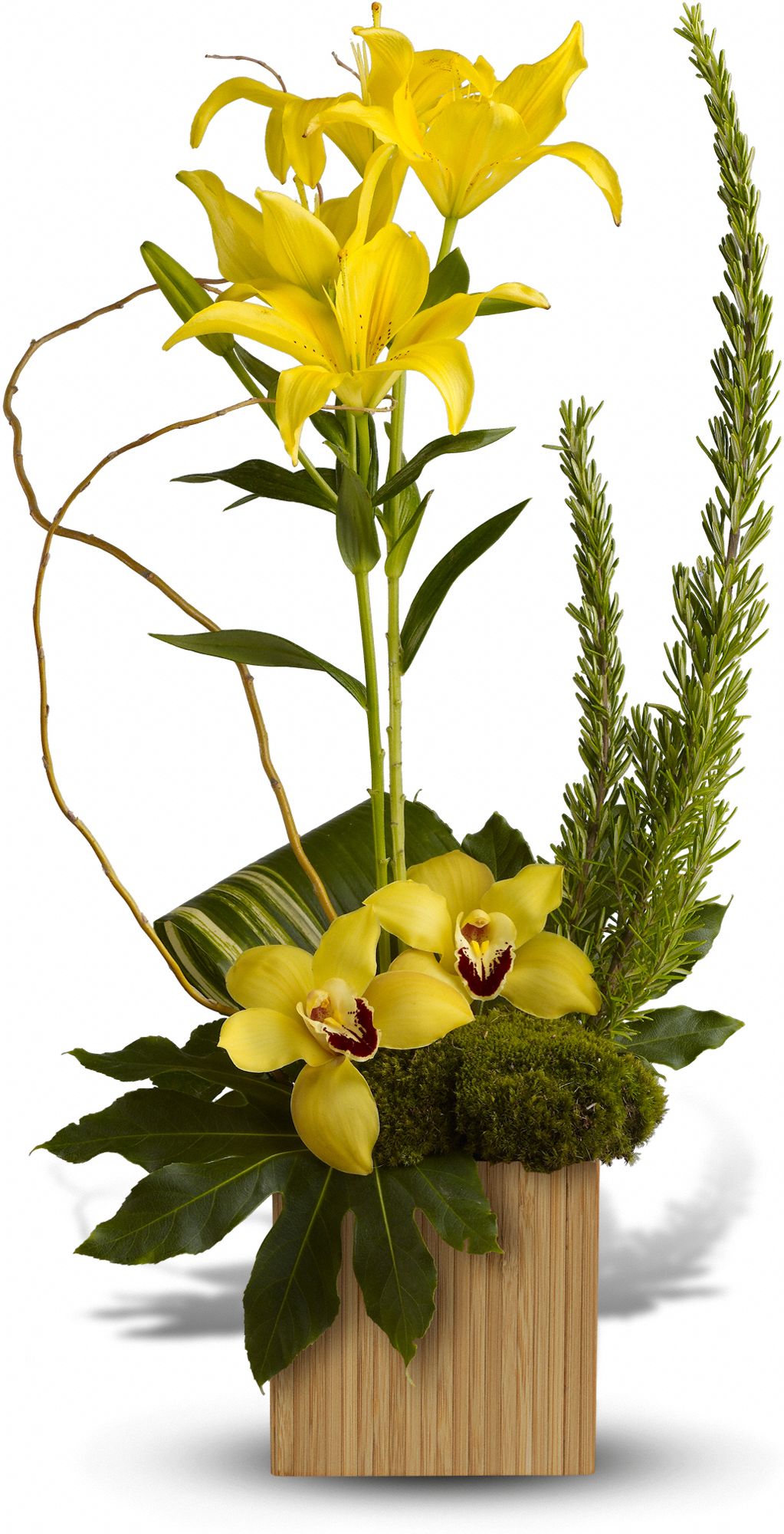 Teleflora's Bamboo Tropics Flowers