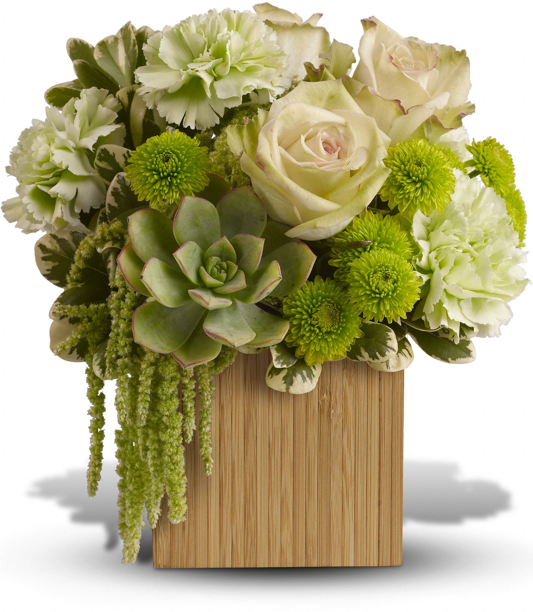 Teleflora's Bamboo Mist Flowers