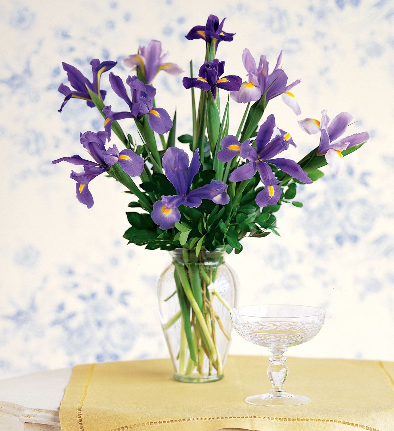 simply Iris, picture