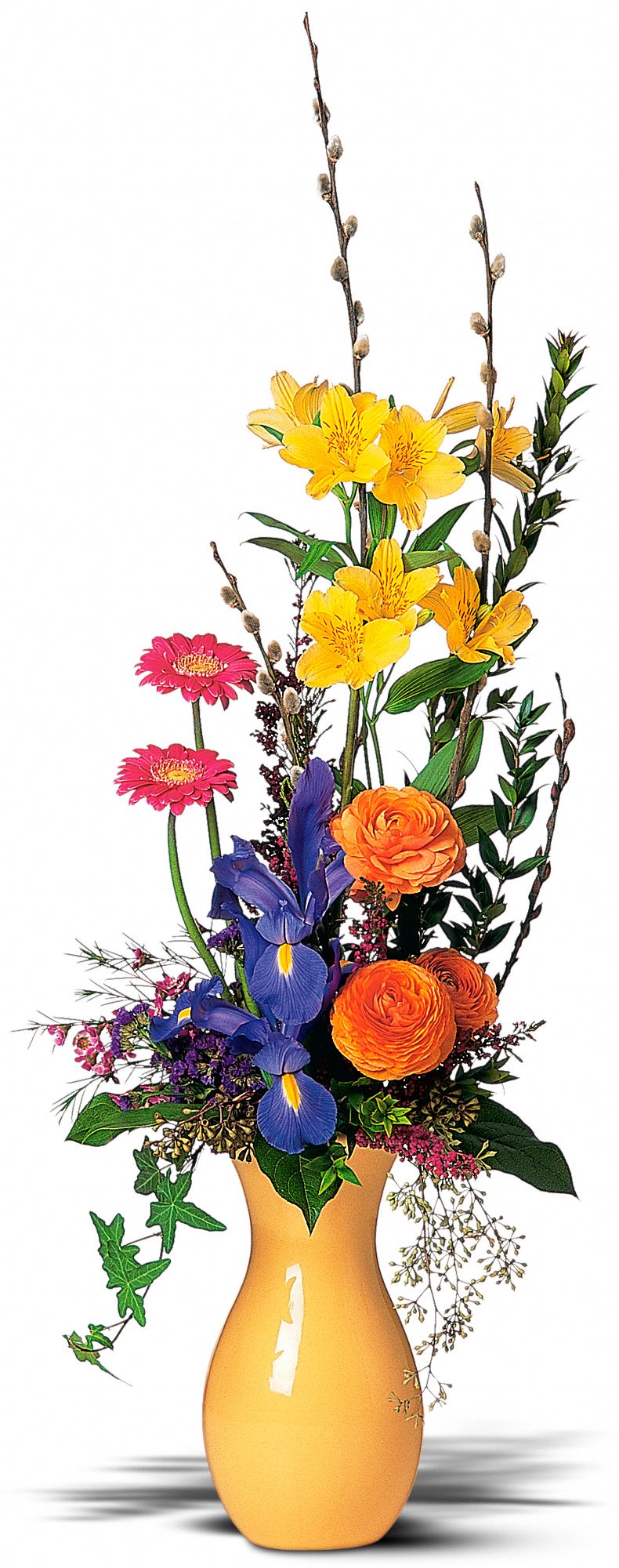 Spring Moments in New Port Richey&nbsp;FL, Cottage Florist Of Trinity
