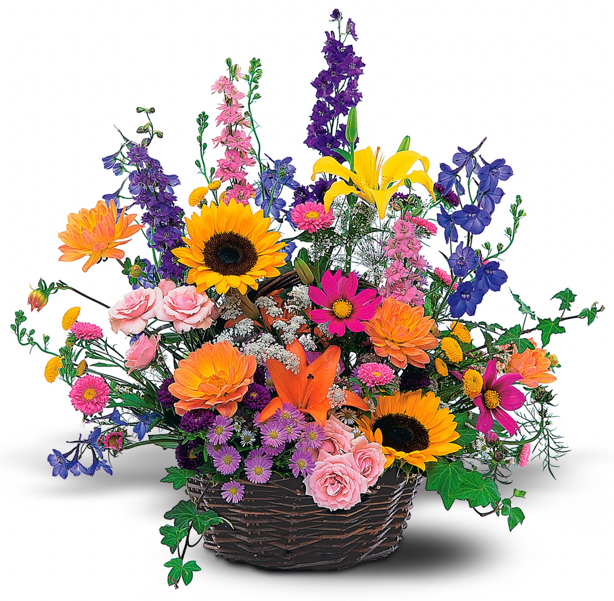 Summertime Sensation Basket, picture