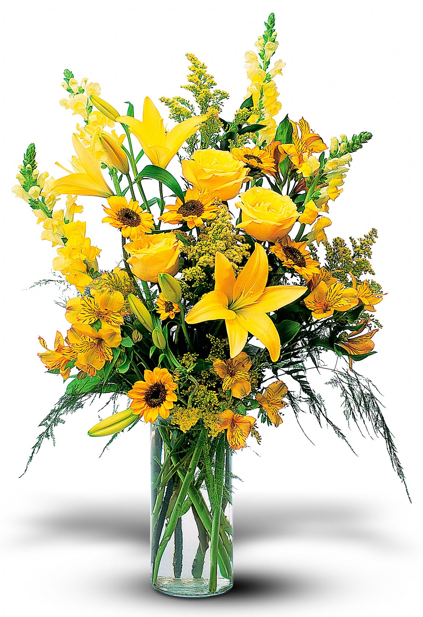 Burst of Yellow in Greenwich CT Colony Florist, Inc
