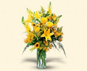 Martin Flowers, Birmingham, Alabama - Burst of Yellow, picture