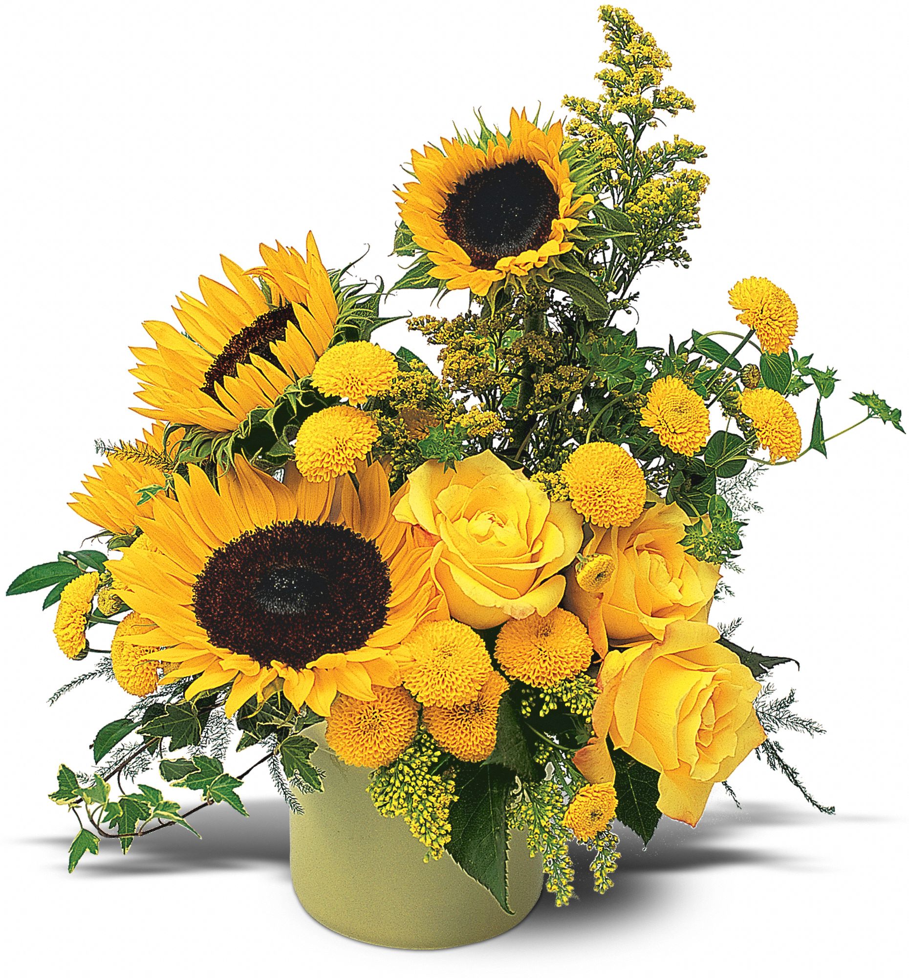 A Pot of Sunflowers, picture