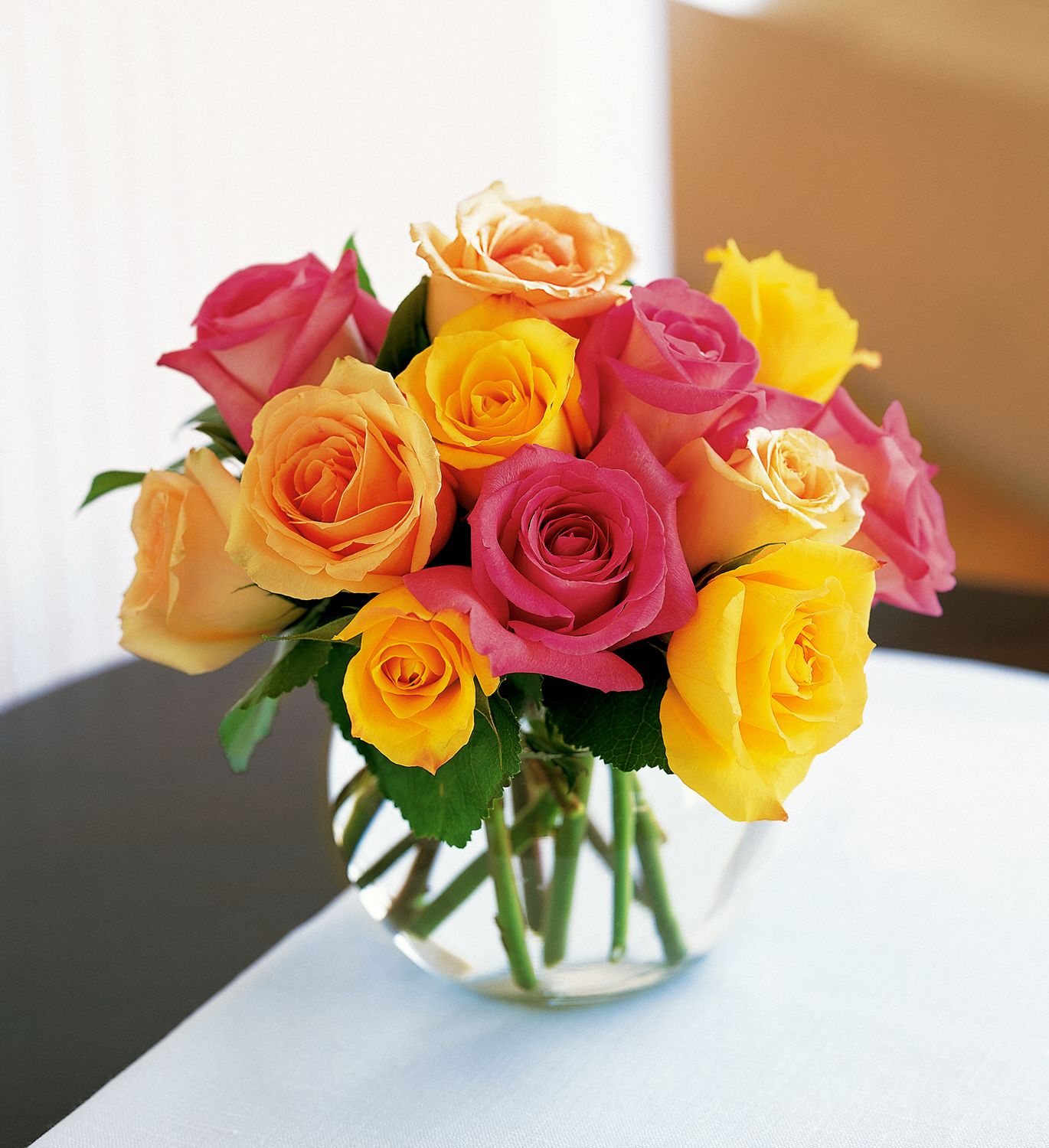 Multi-Colored Roses Flowers