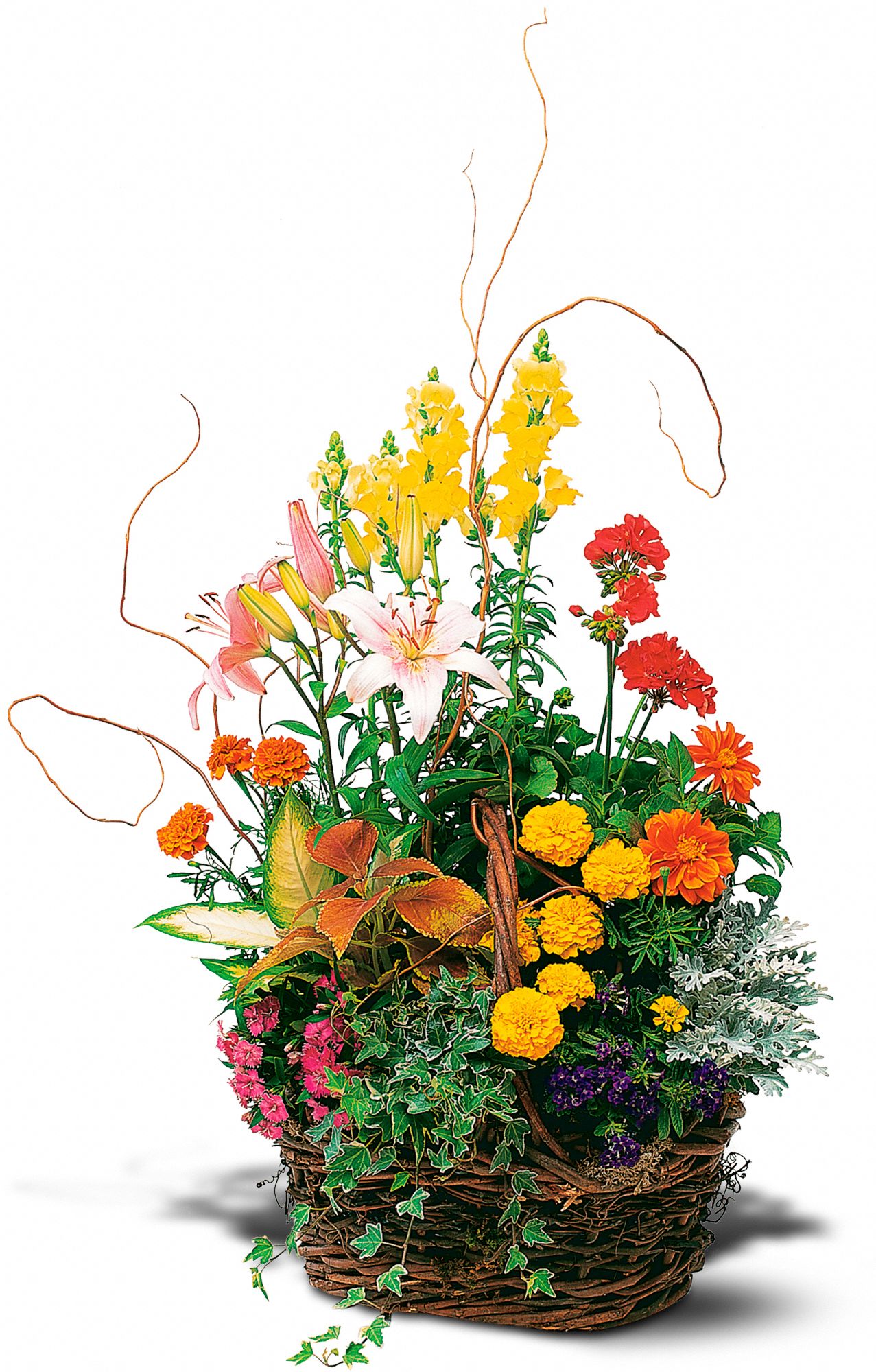 Summer Garden Festival in New Port Richey&nbsp;FL, Cottage Florist Of Trinity
