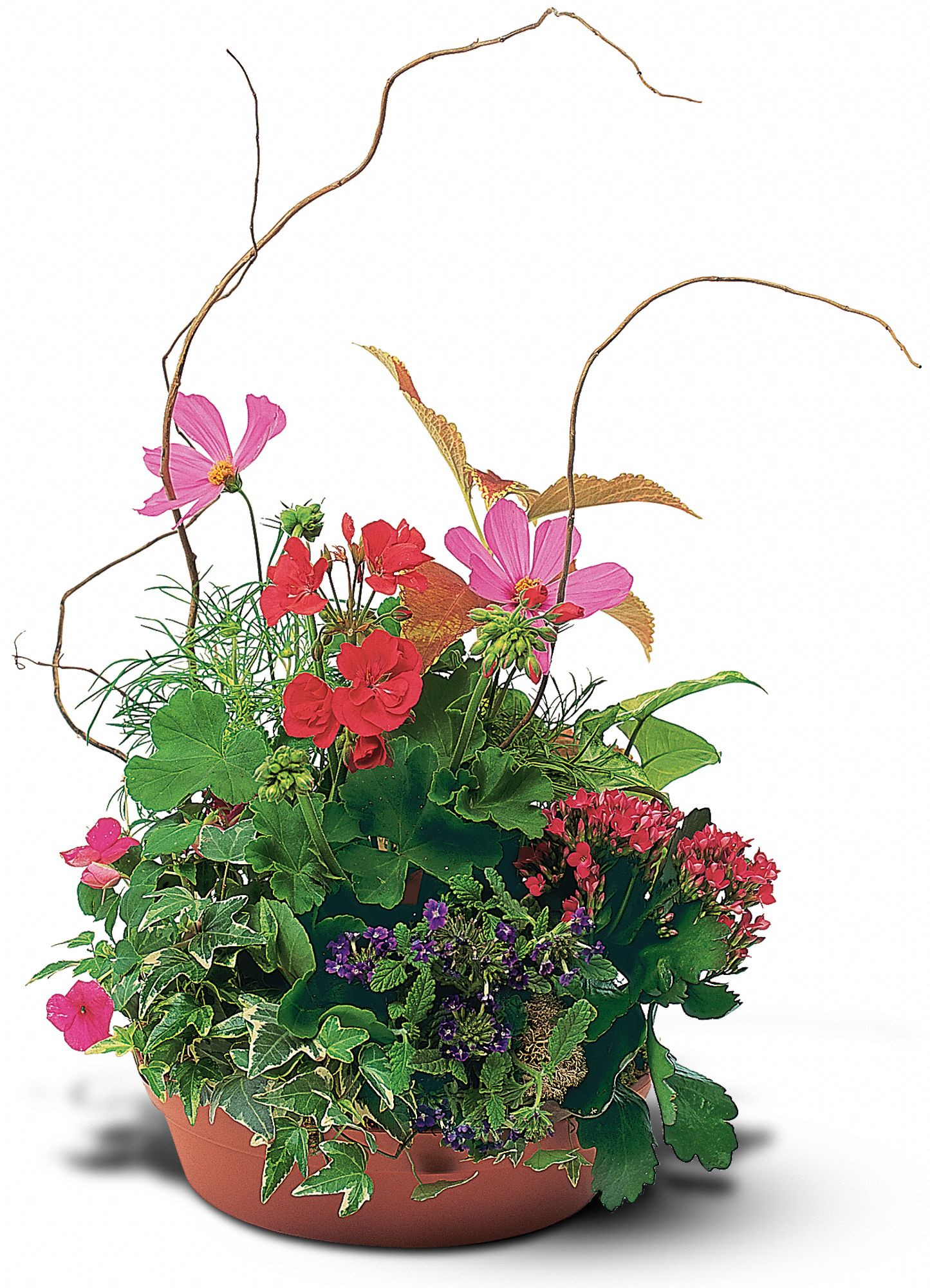 Summer Garden Planter in New Port Richey&nbsp;FL, Cottage Florist Of Trinity